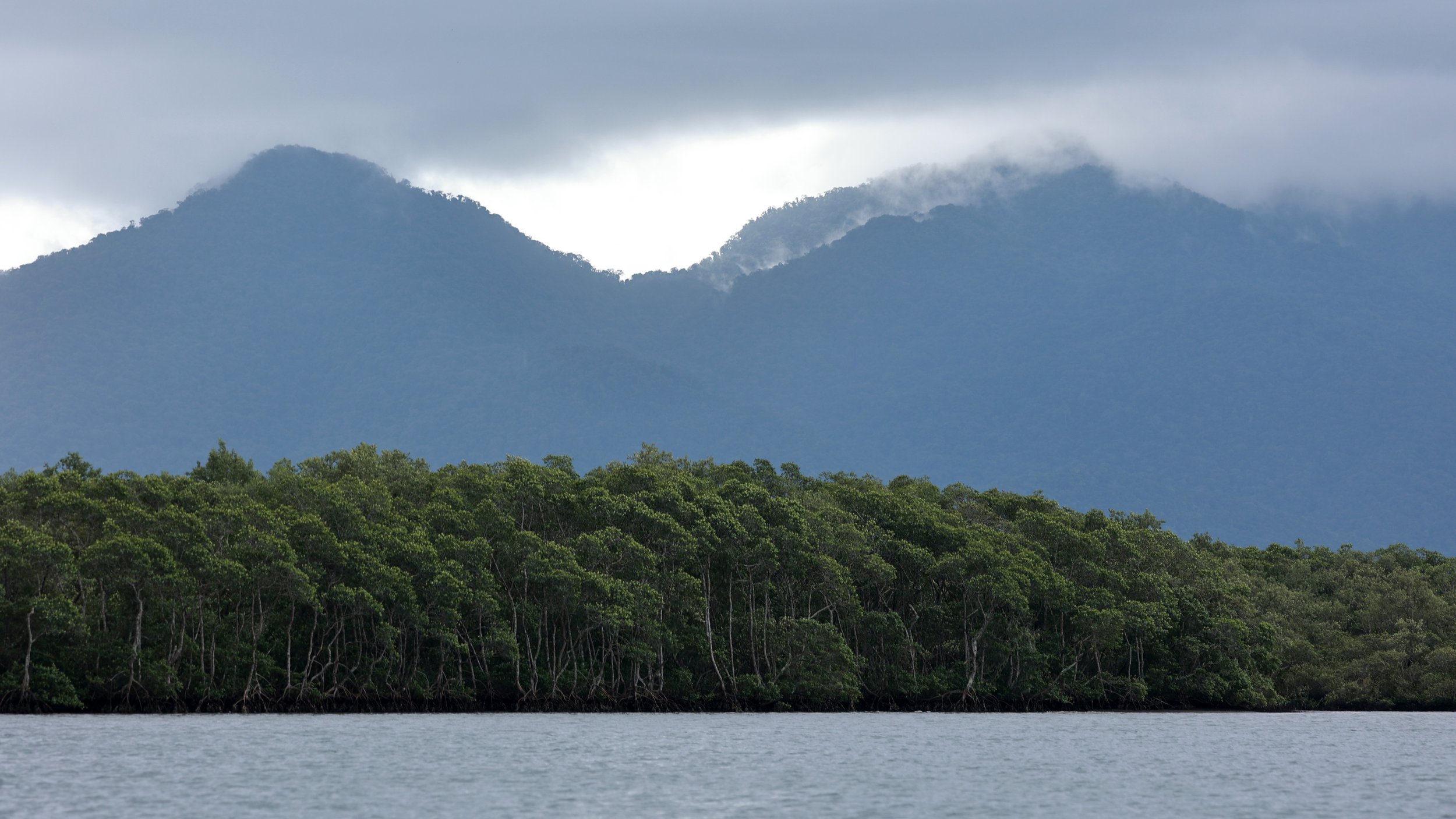 Superagüi National Park