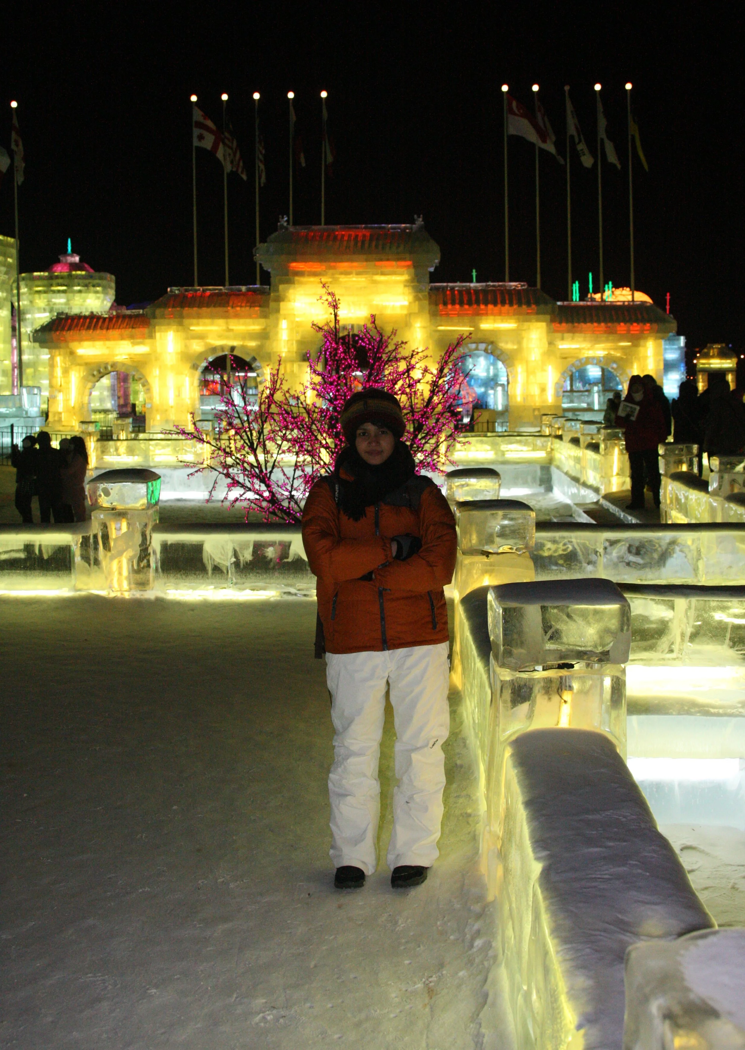 HARBIN ICE & SNOW FESTIVAL FEBRUARY 2012 (138).JPG