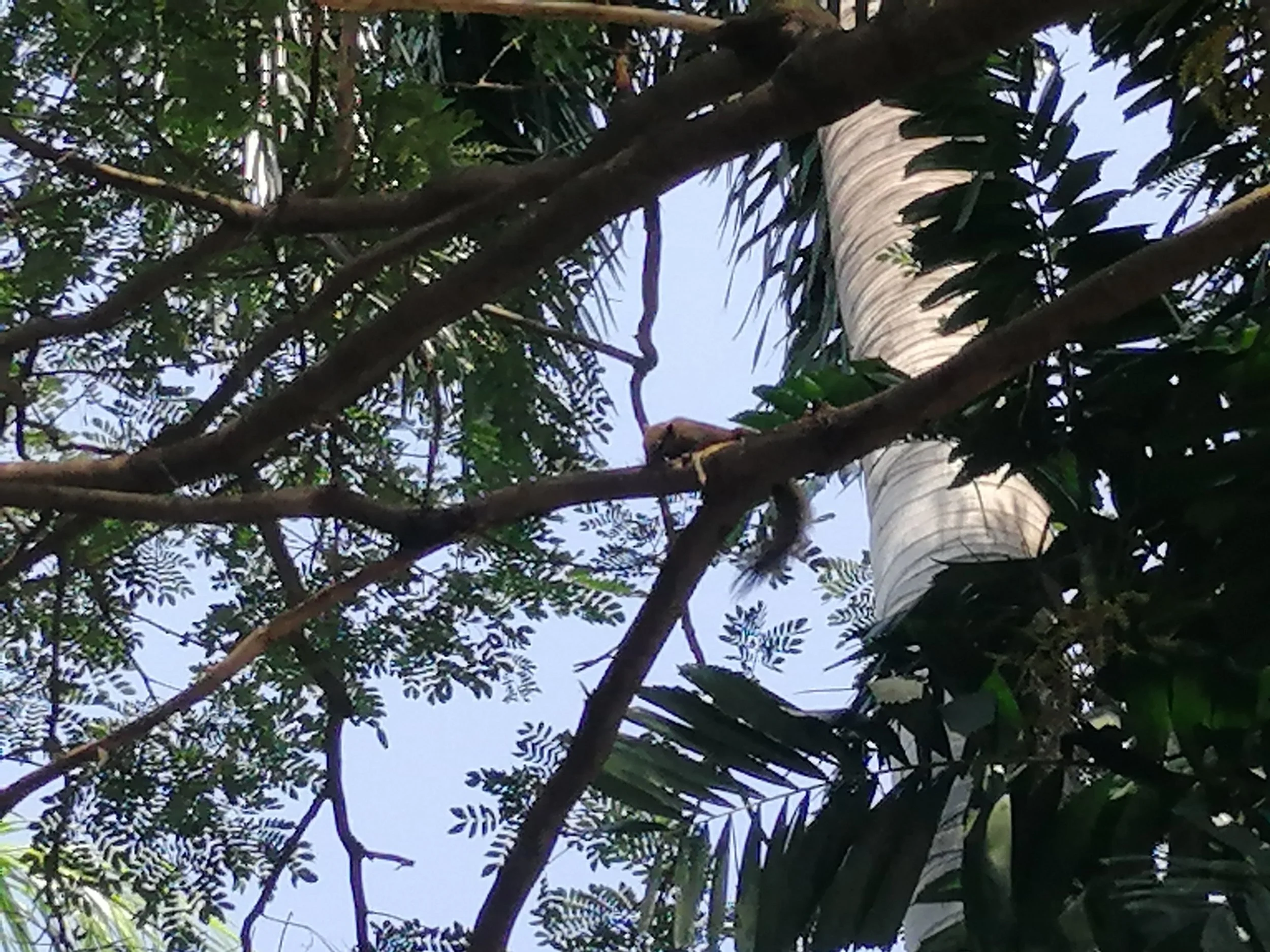 2019 Nakhon Pathom Trip Temples with Cokie (19).jpg