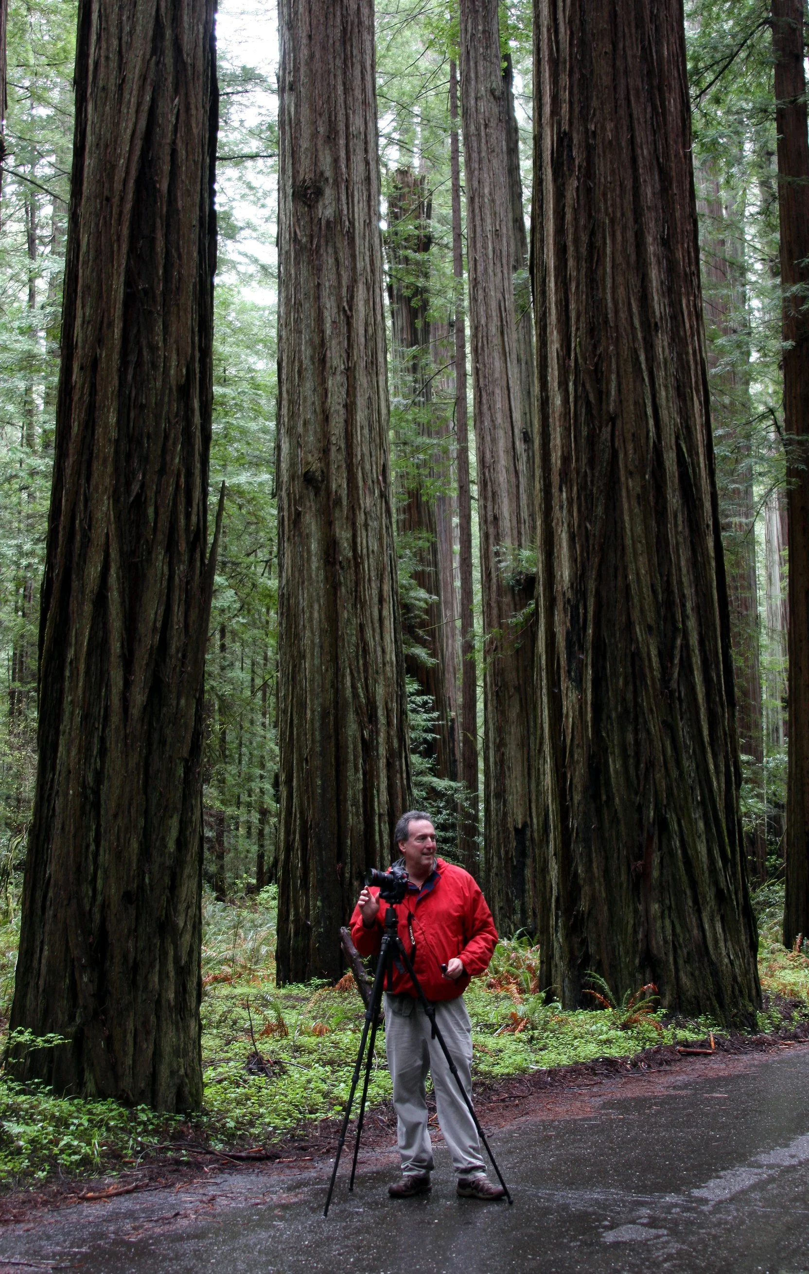 2010-4-6 HANGING IN THE REDWOODS - ROADTRIP 2010 (7).JPG