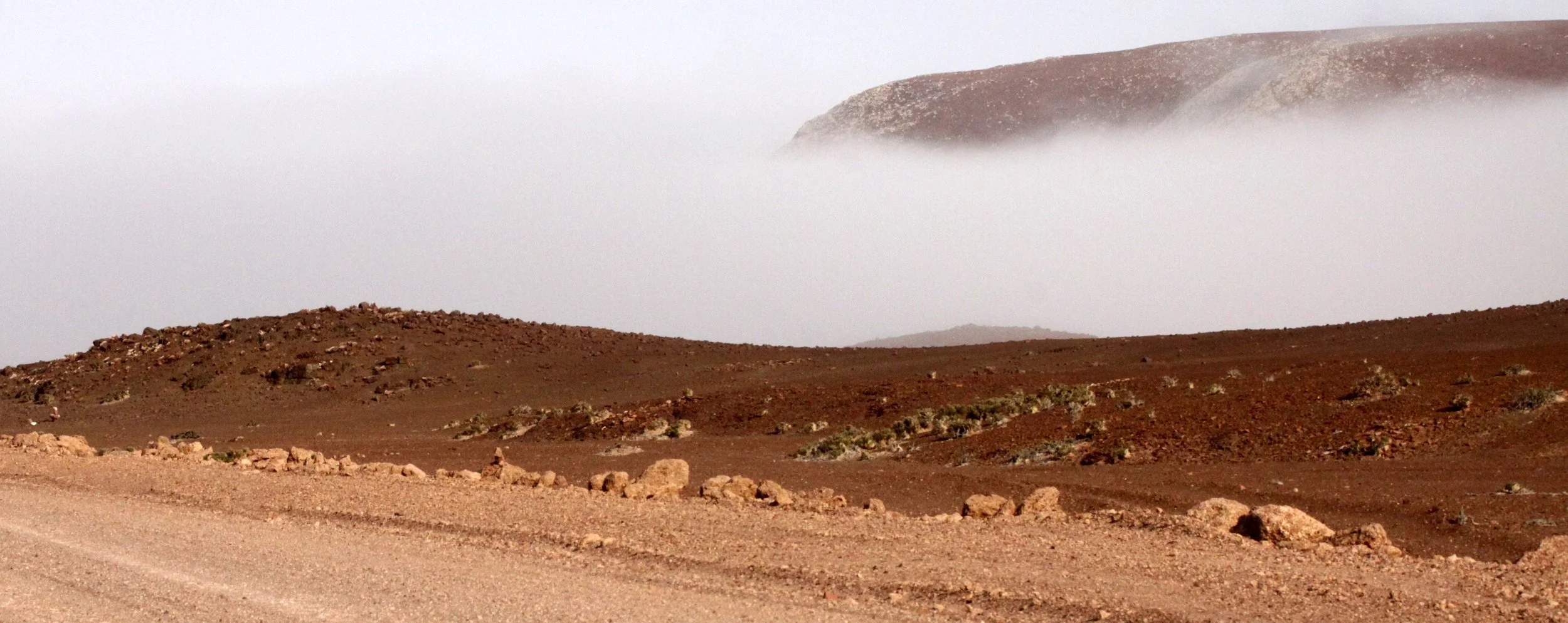 NAMIBIA - SKELETON COAST NATIONAL PARK - SCENERY (2).JPG