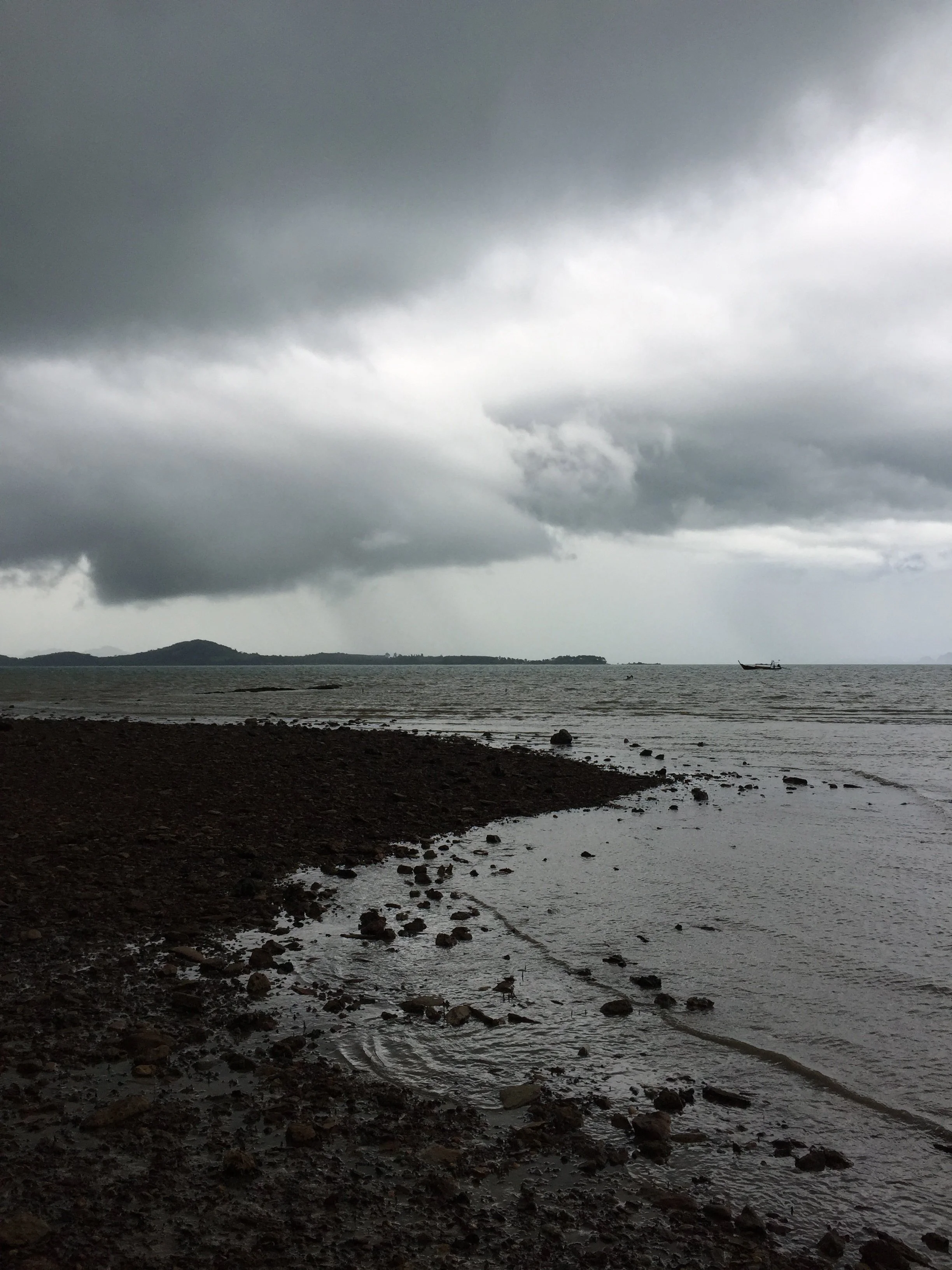 2015 Koh Lanta Garden & Nature (244).jpg