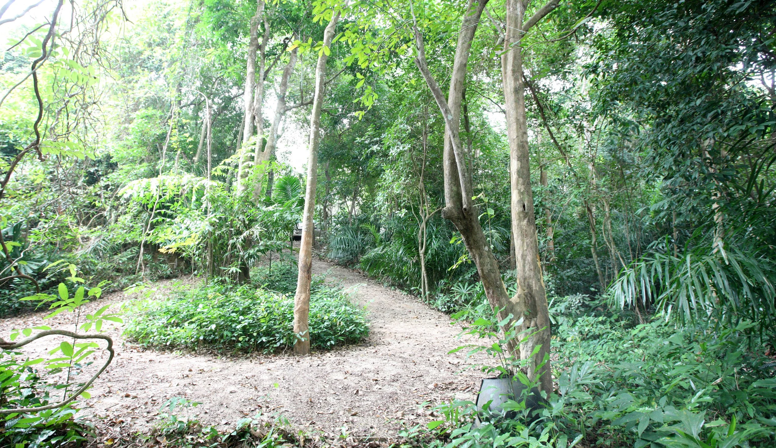 LANTA ISLAND - OUR PROPERTY - WINTER 2011 (38).JPG