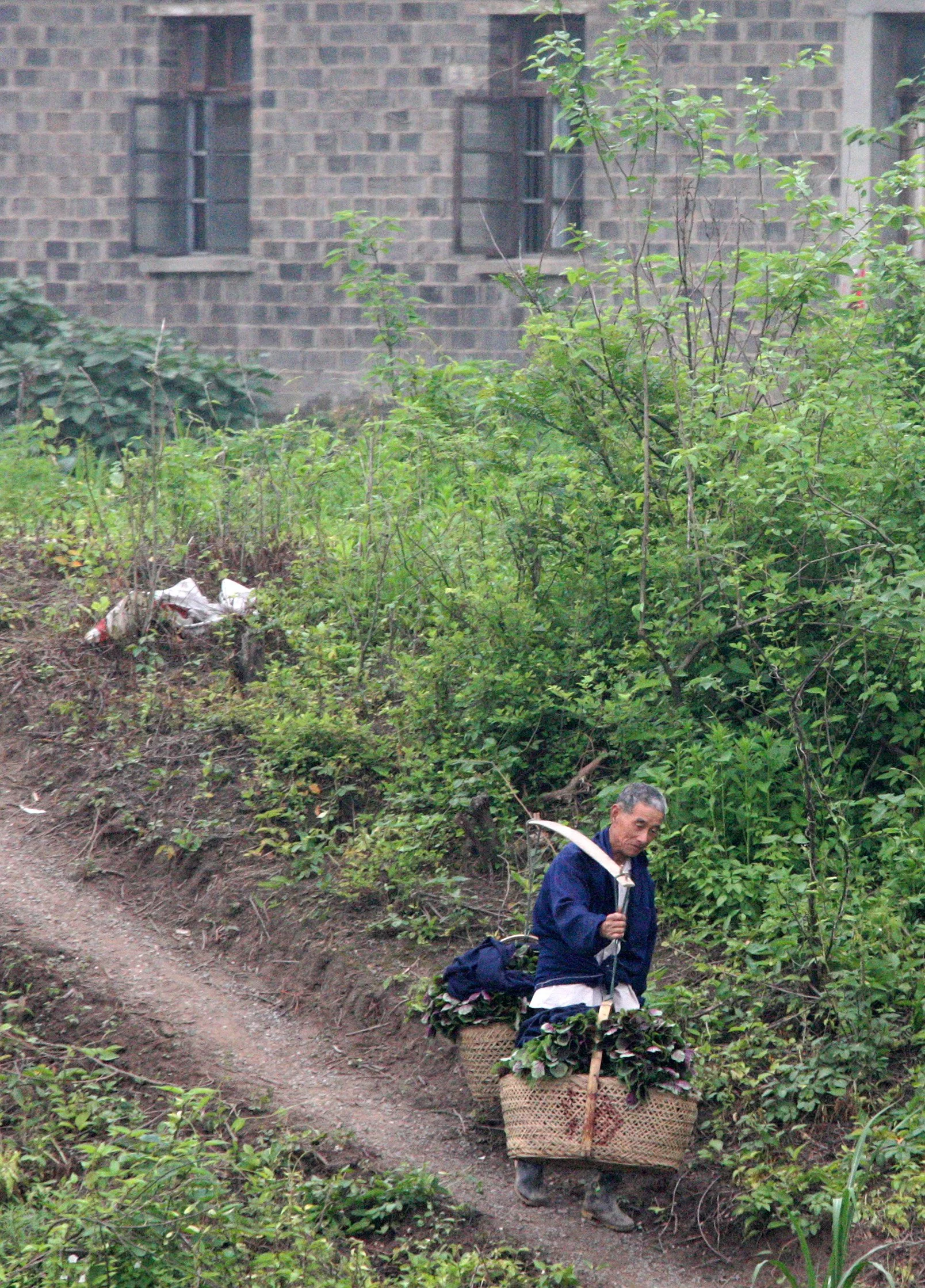 TONGLING RIVER DOLPHIN NATIONAL NATURE RESERVE - YUZHOU ISLAND (37).JPG