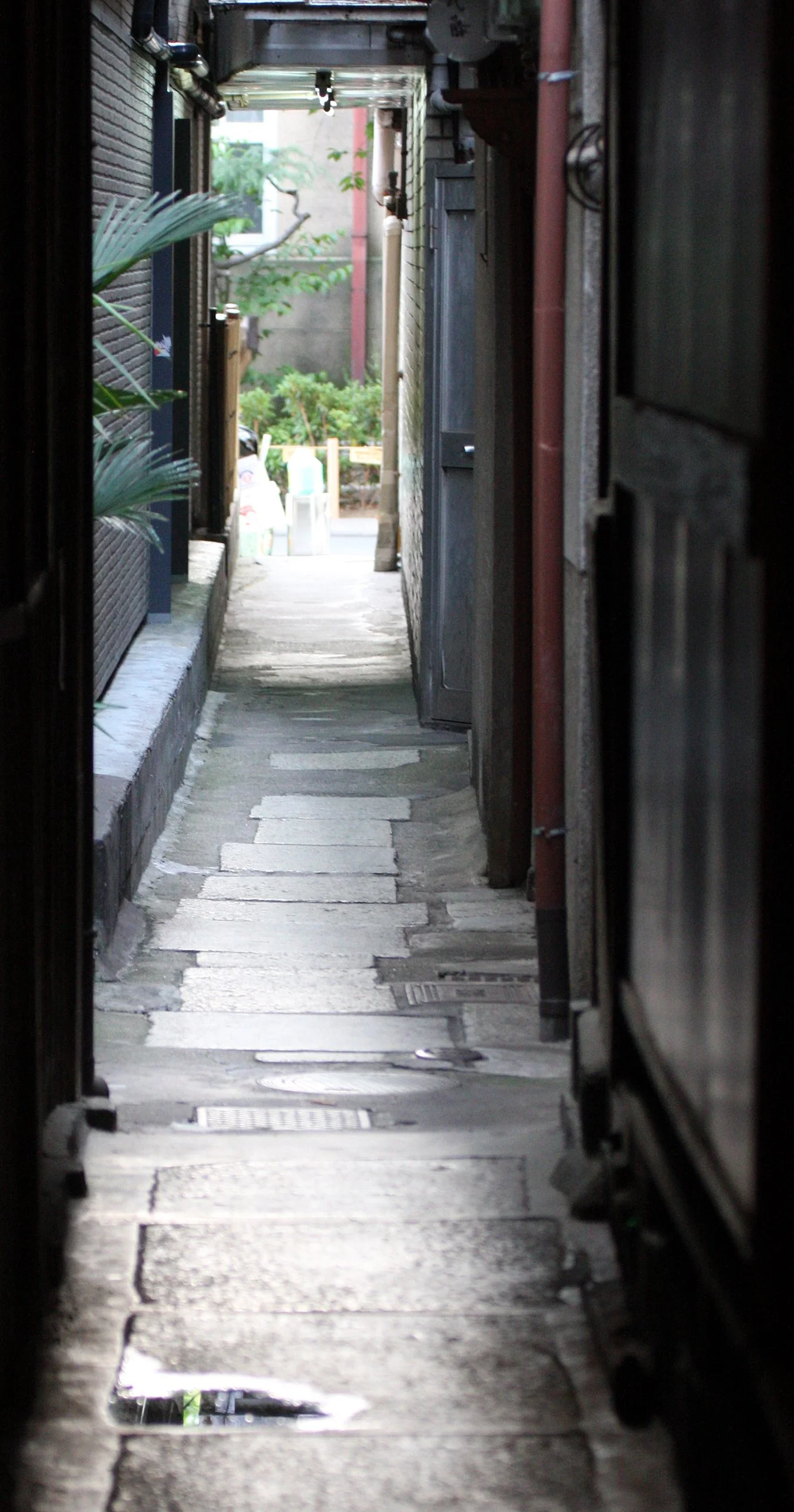 KYOTO - MAY 2009 - CITY SCENES AND LANDSCAPES (20).JPG