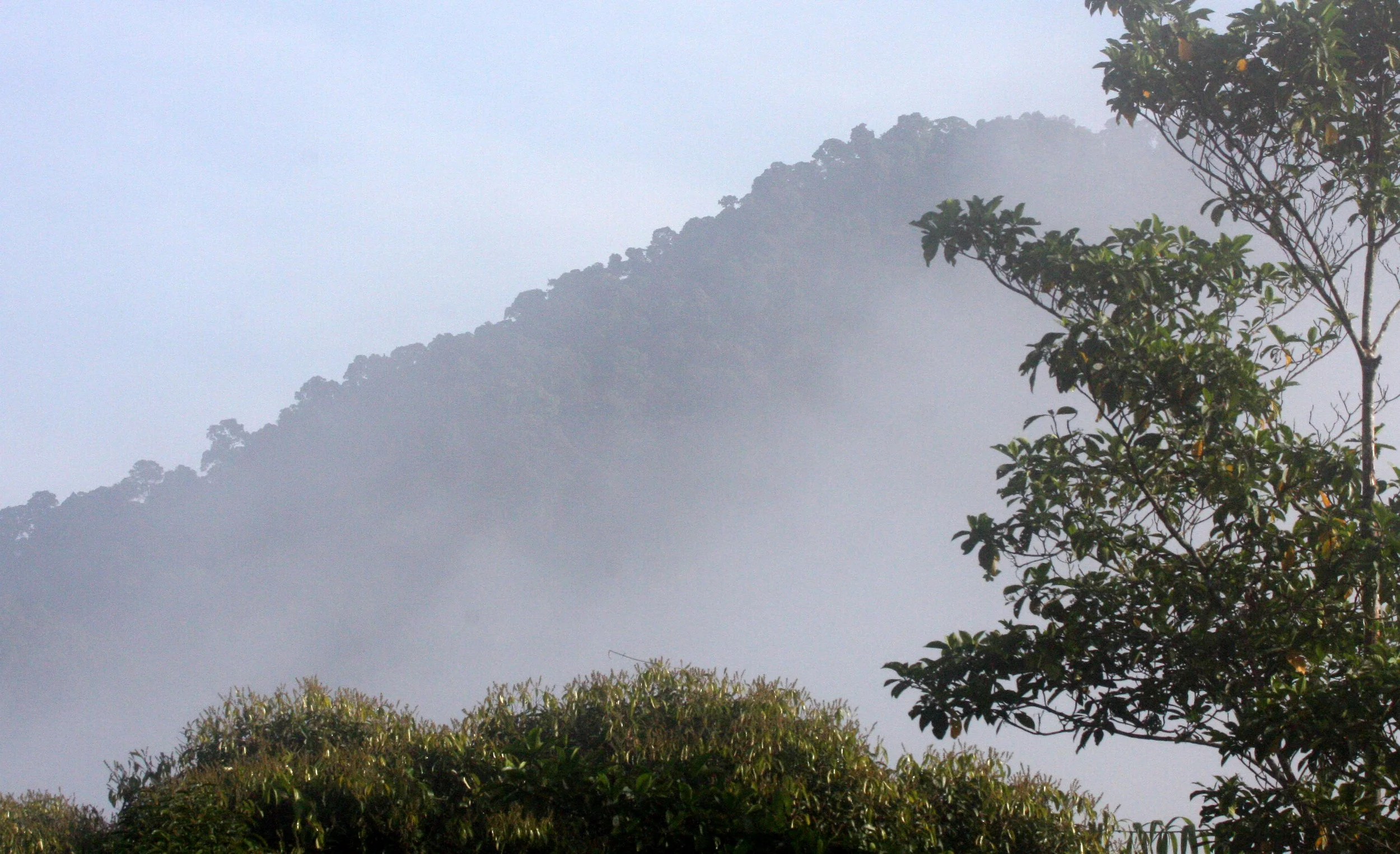 KRUNG CHIN NP - THALE MOG VIEW POINT (2).JPG