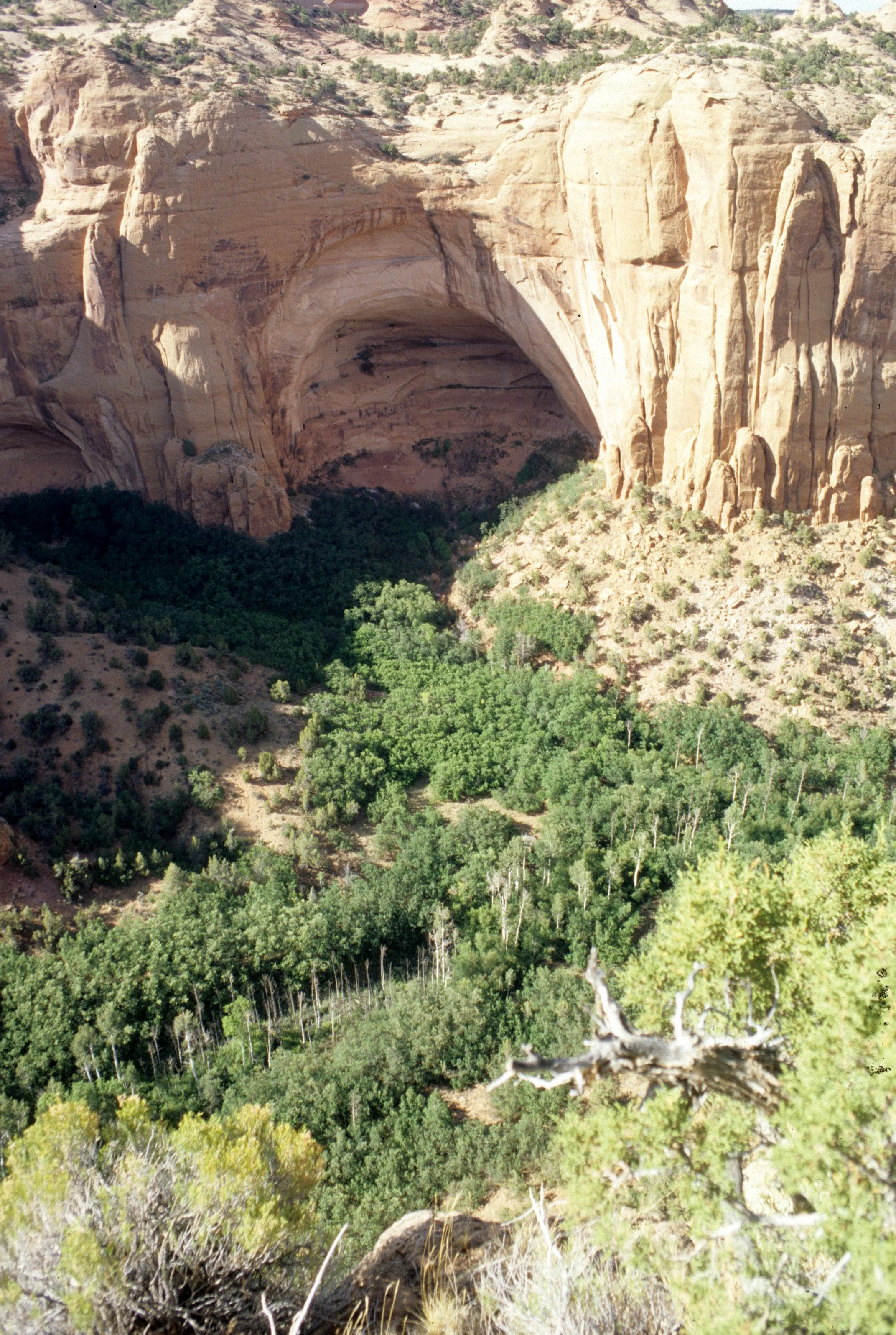 ANASAZILAND - NAVAJO NM.jpg