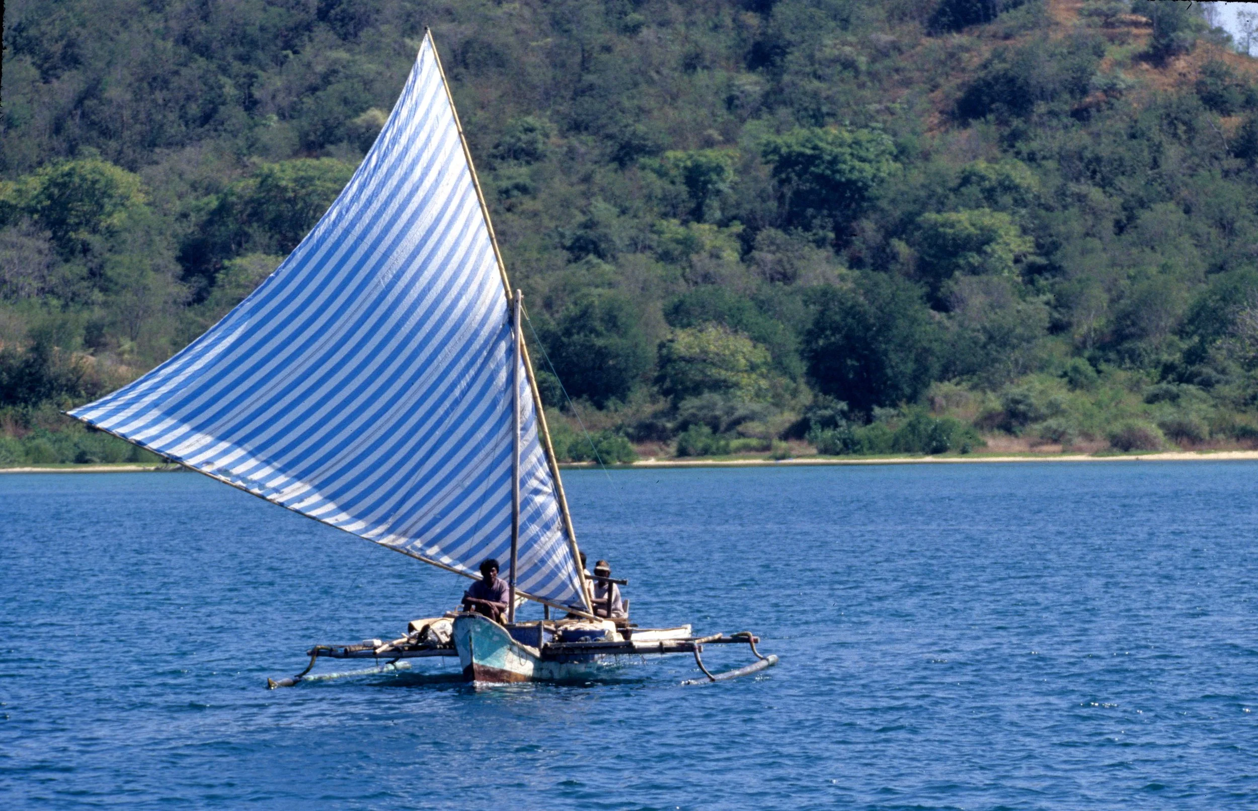 KOMODO - FISHERS.jpg
