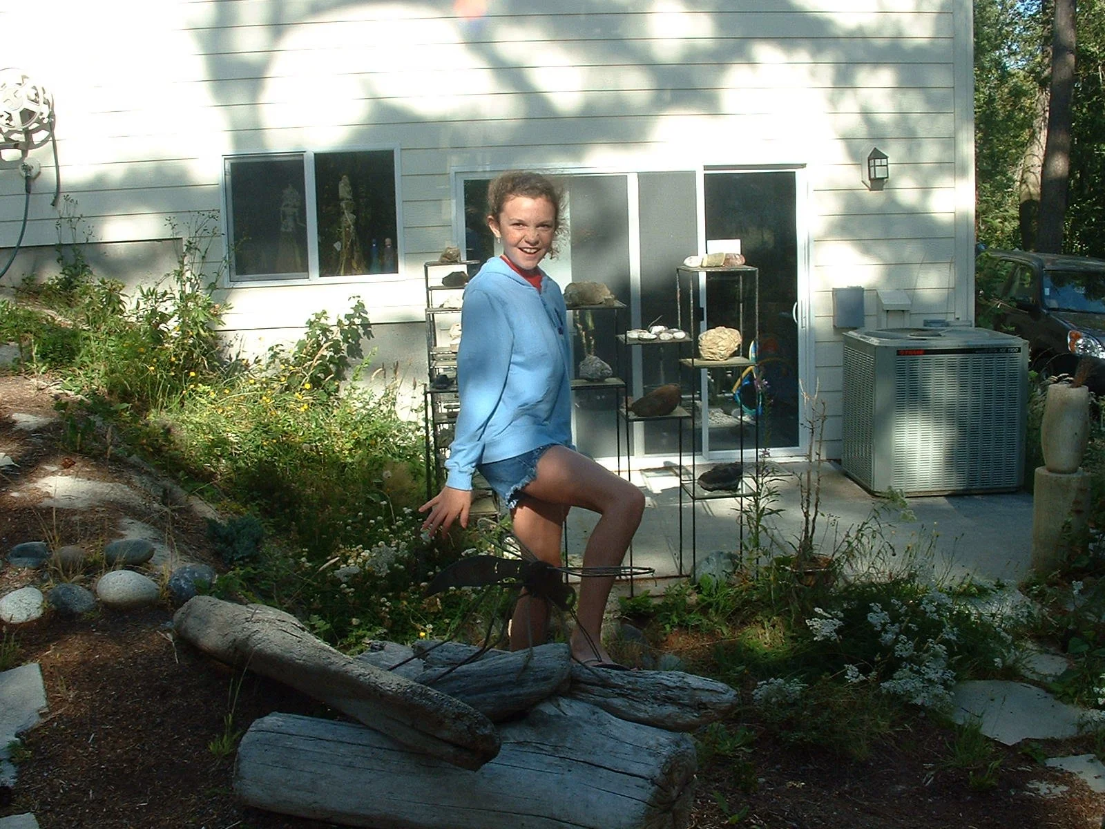 2003-8-1 WASHINGTON VISIT FROM ROBINSONS ET AL.JPG