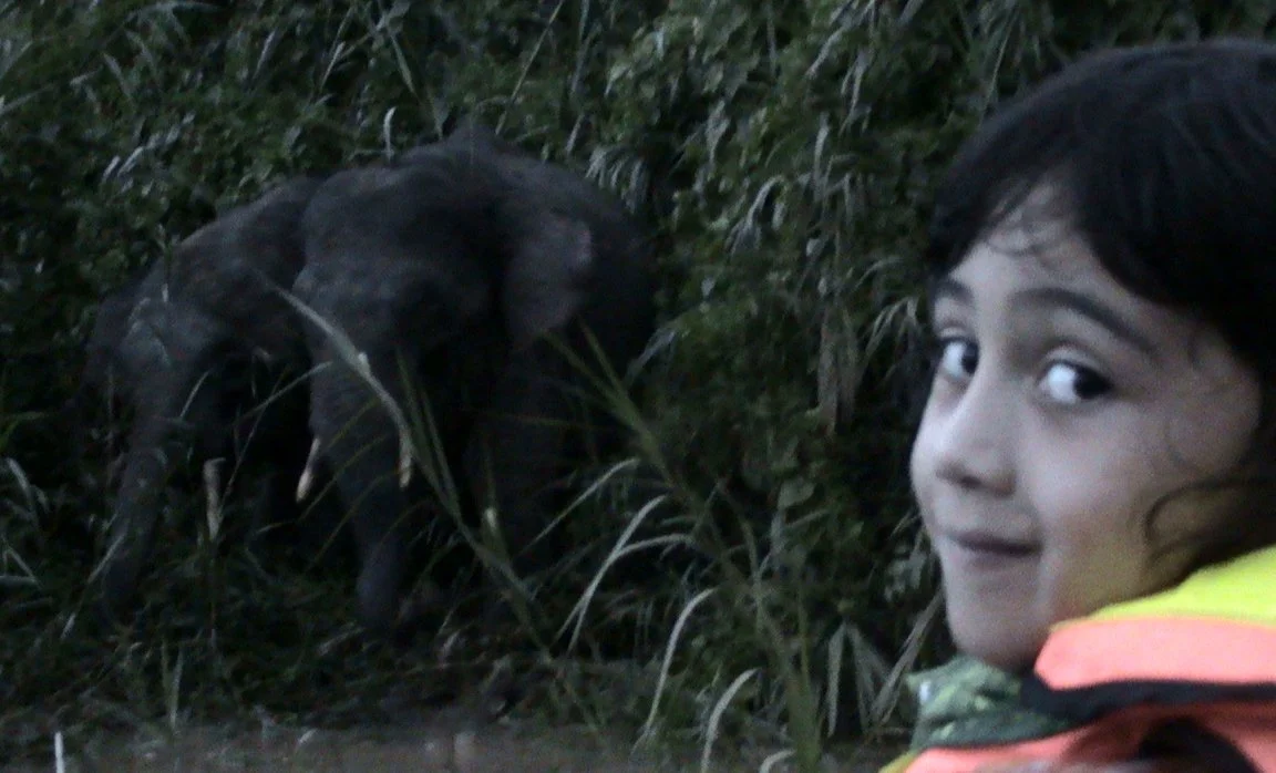 BORNEO - US WITH THE ELEPHANTS (11).JPG