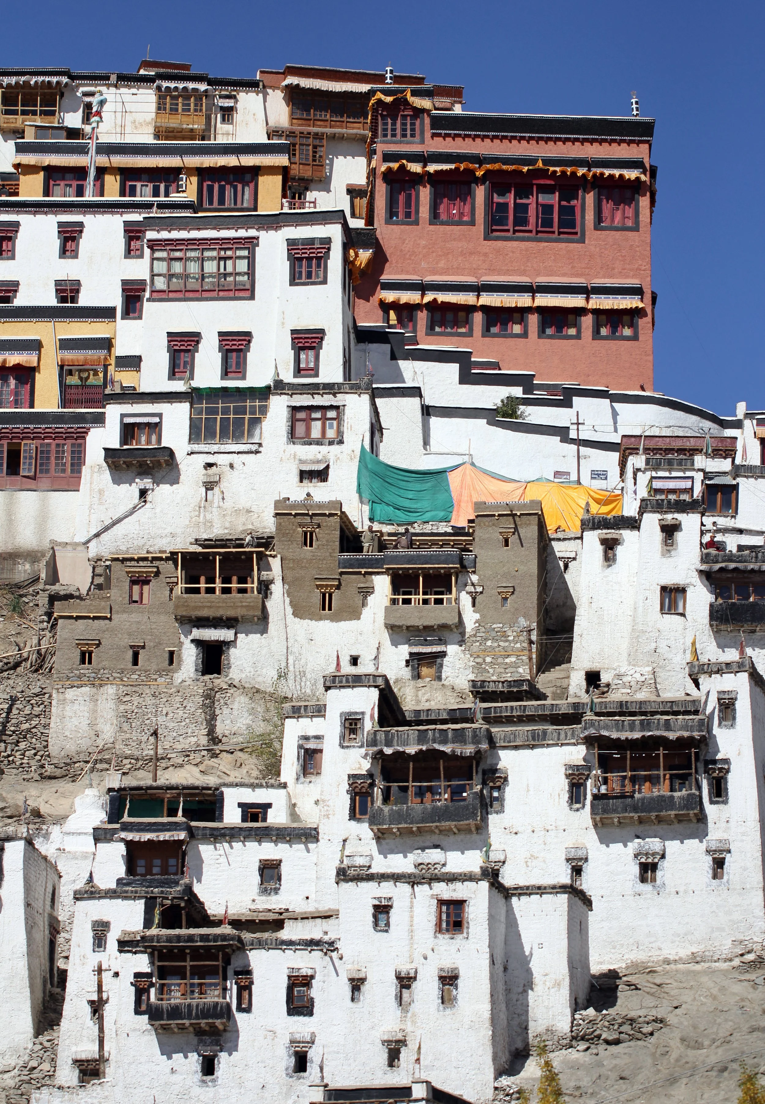 LEH - THIKSEY - LADAKH INDIA - SNOW LEOPARD EXPEDITION 2014 (21).JPG