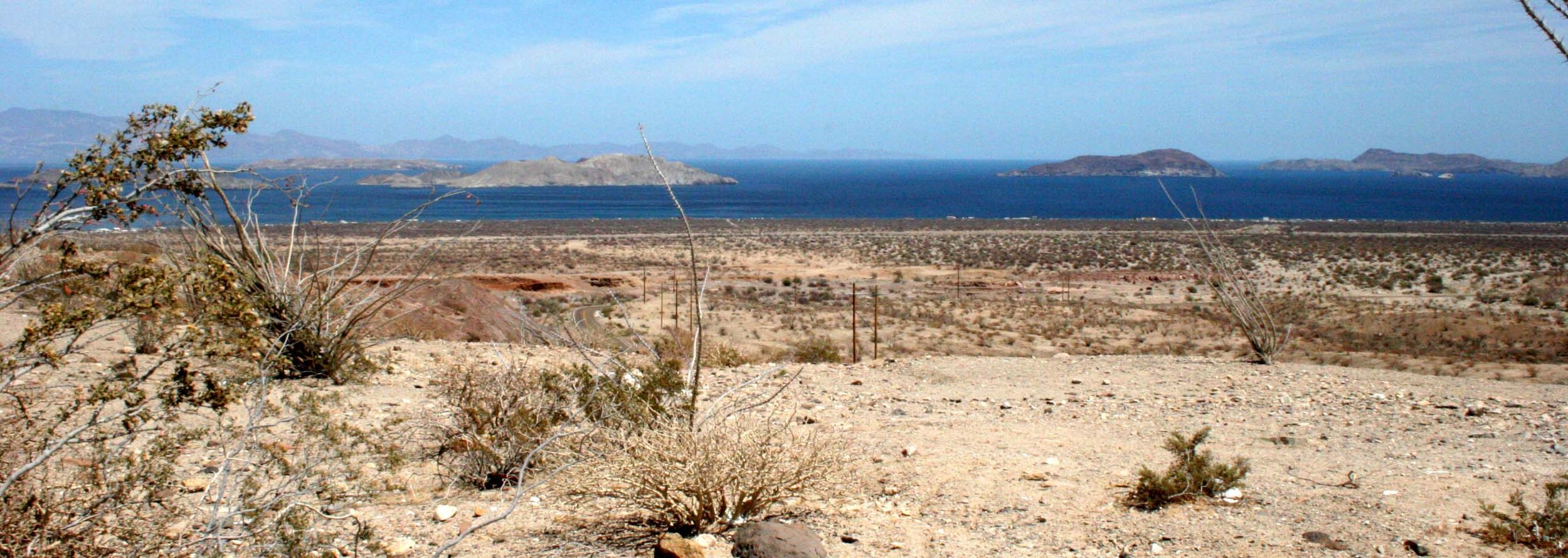 BAHIA DE LOS ANGELES  - OCOTILLO WOODLANDS VIEW POINT.JPG