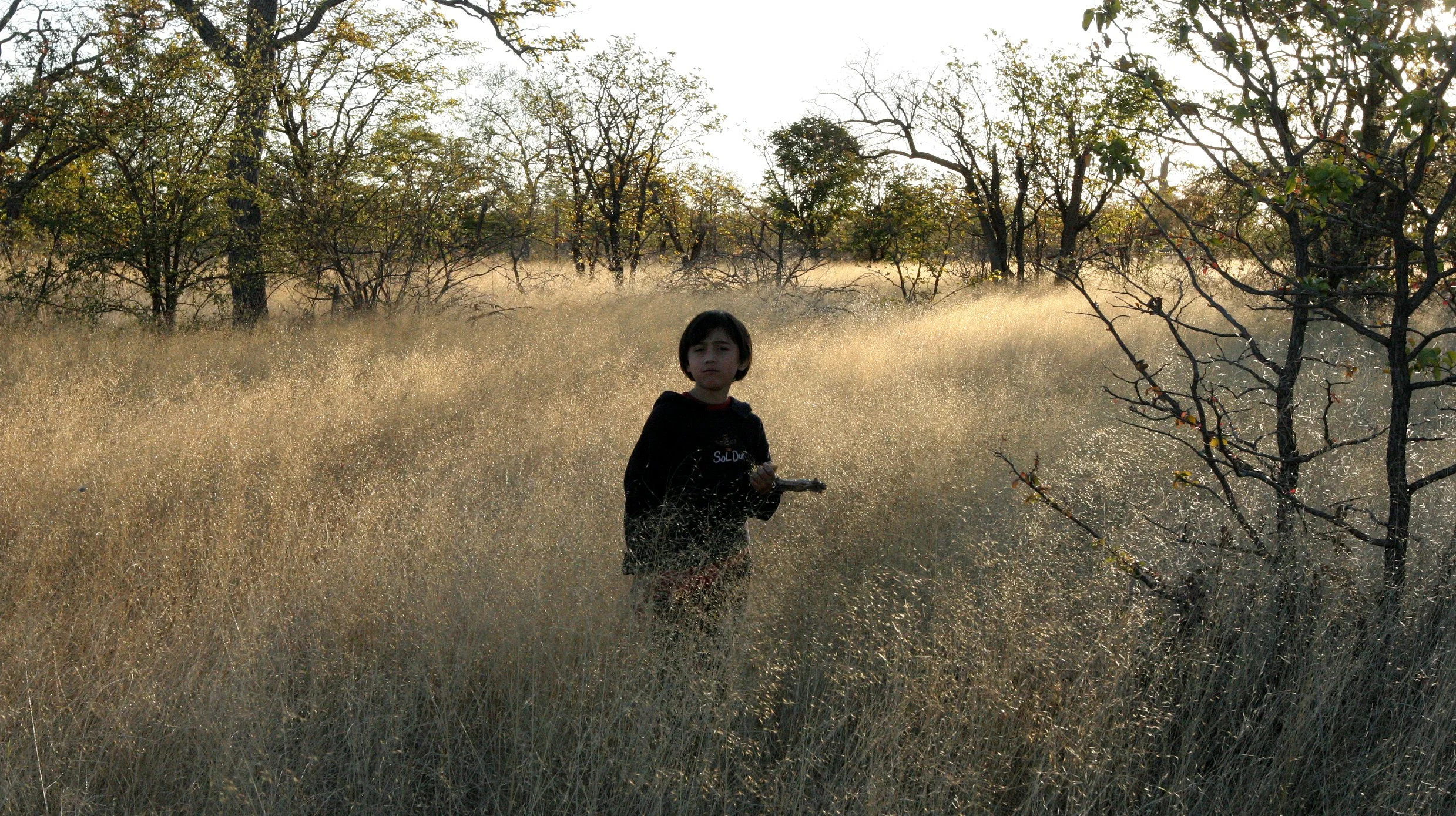 BOTSWANA -KALAHARI DESERT PLANET BAOBAB BOTSWANA (9).JPG