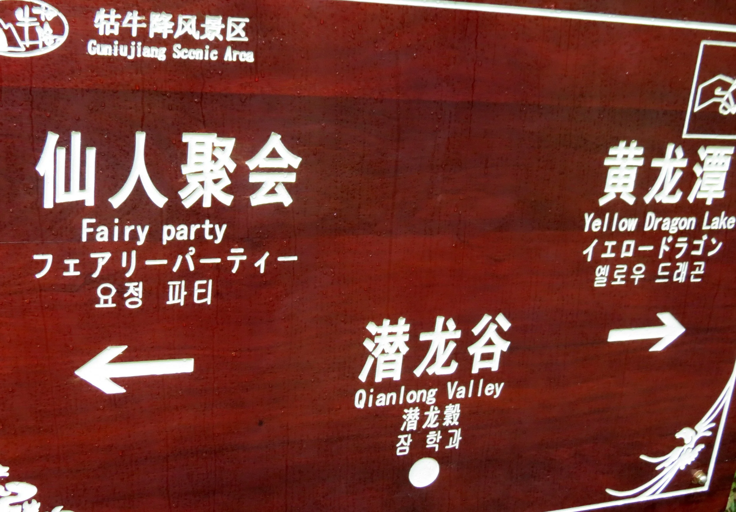 GUNIUJIANG NATURE RESERVE - ANHUI PROVINCE CHINA (65).JPG