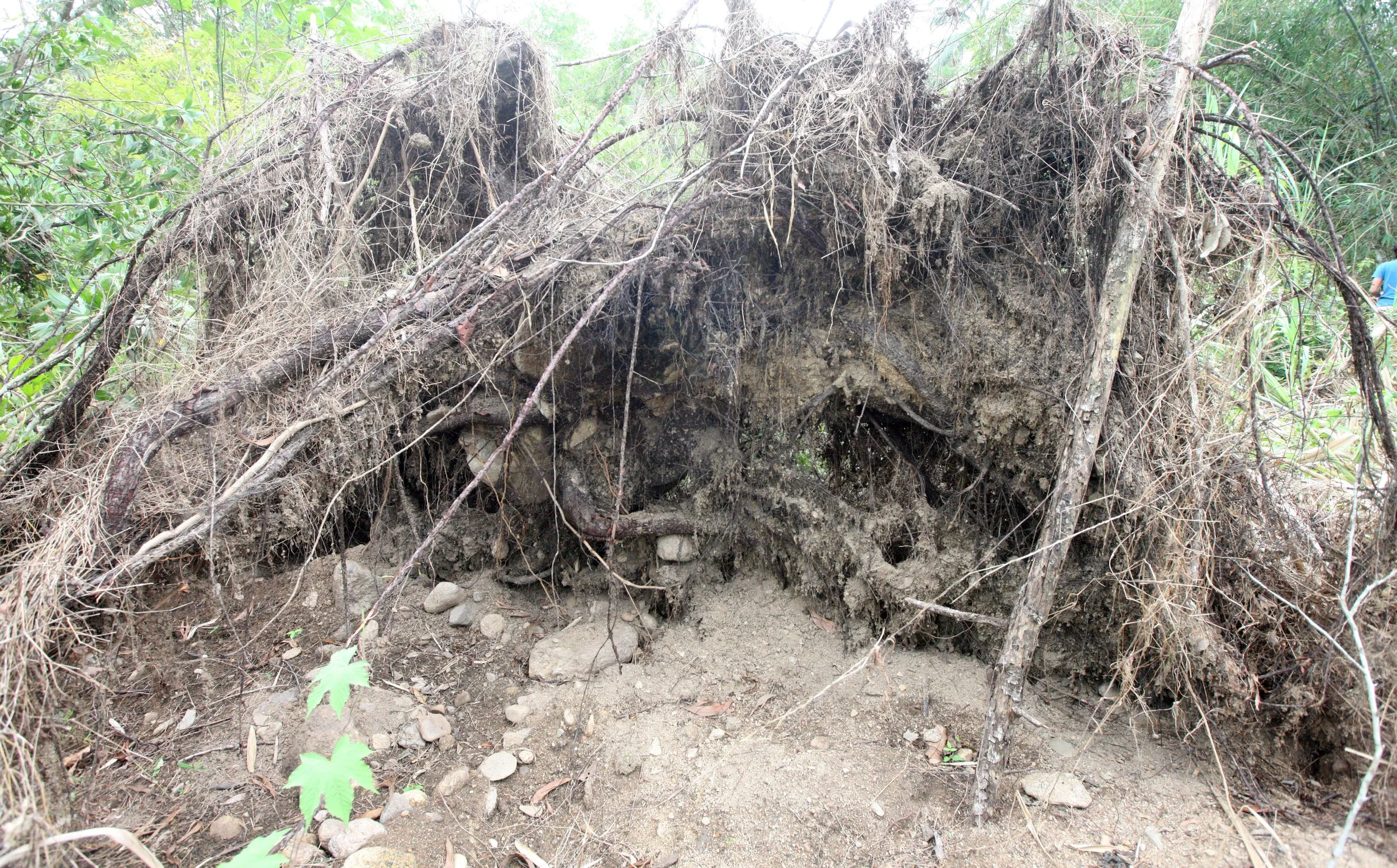 2014 Nakhonsithammarat with Family (20).JPG