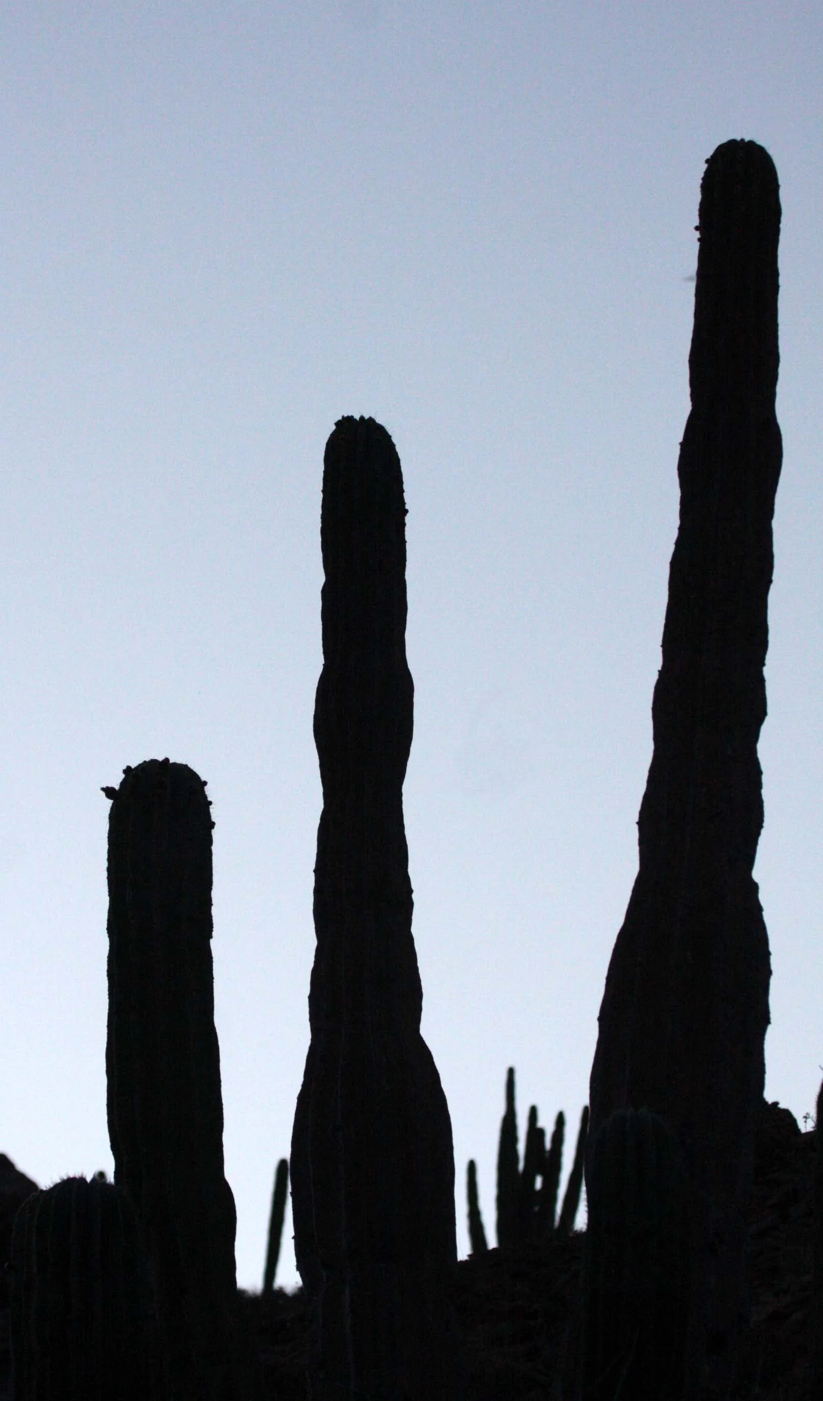 ISLA SANTA CATALINA BAJA MEXIO - SUNSET LANDSCAPES (22).JPG