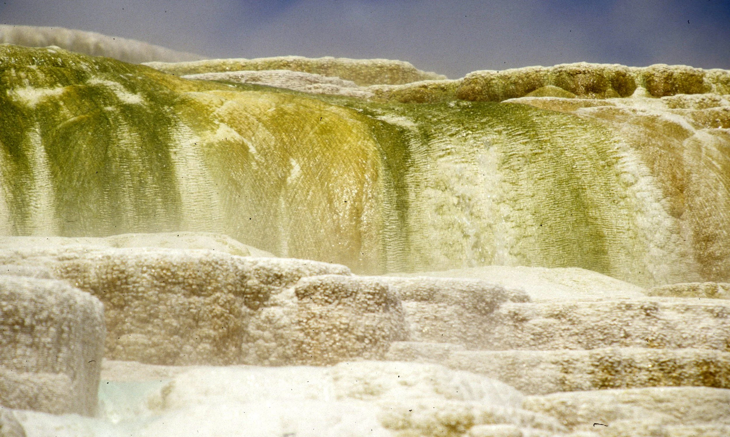 YELLOWSTONE - MAMMOTH HOTSPRINGS RR.jpg