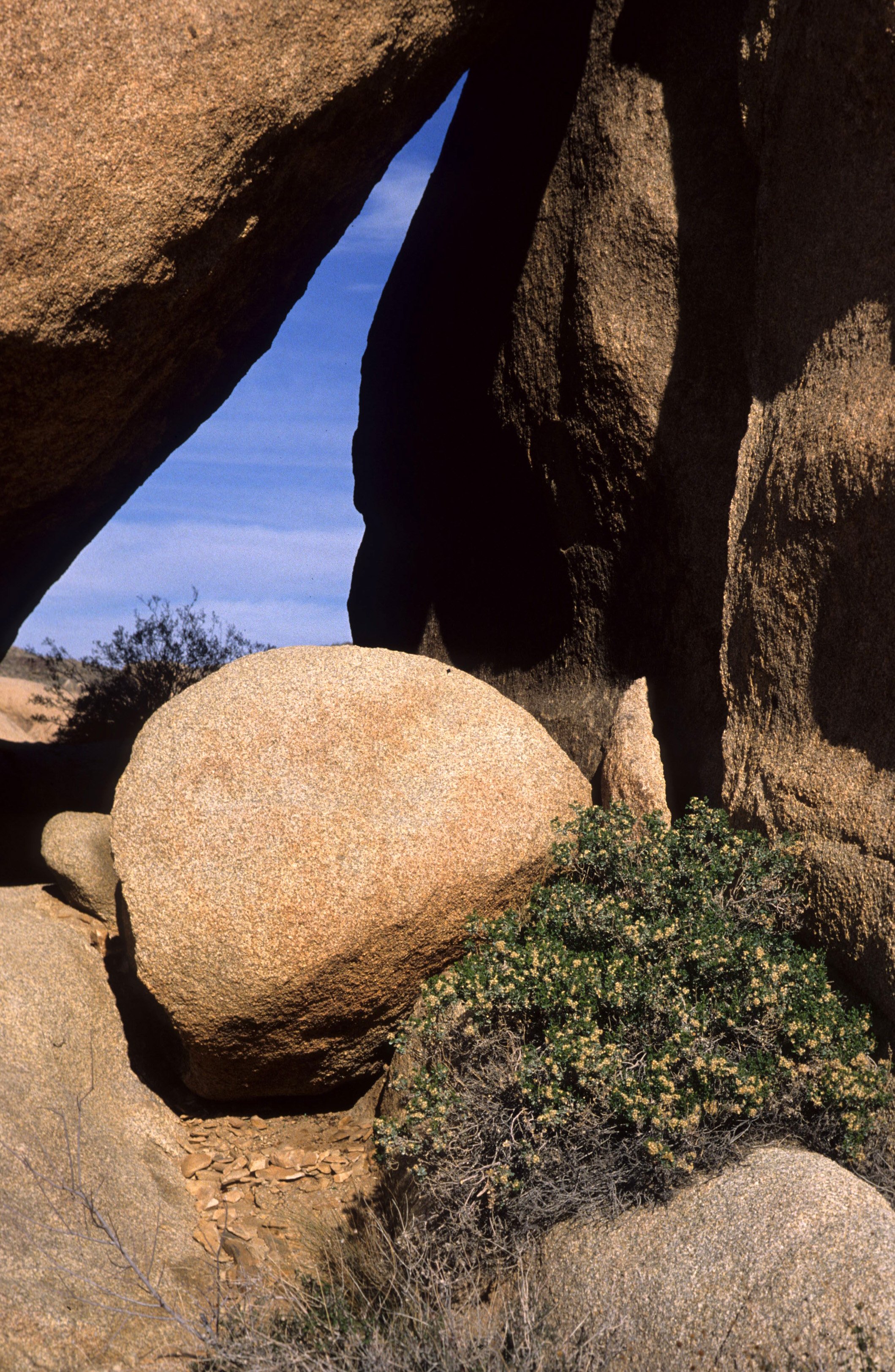 JOSHUA TREE - INSELBERGS B.jpg