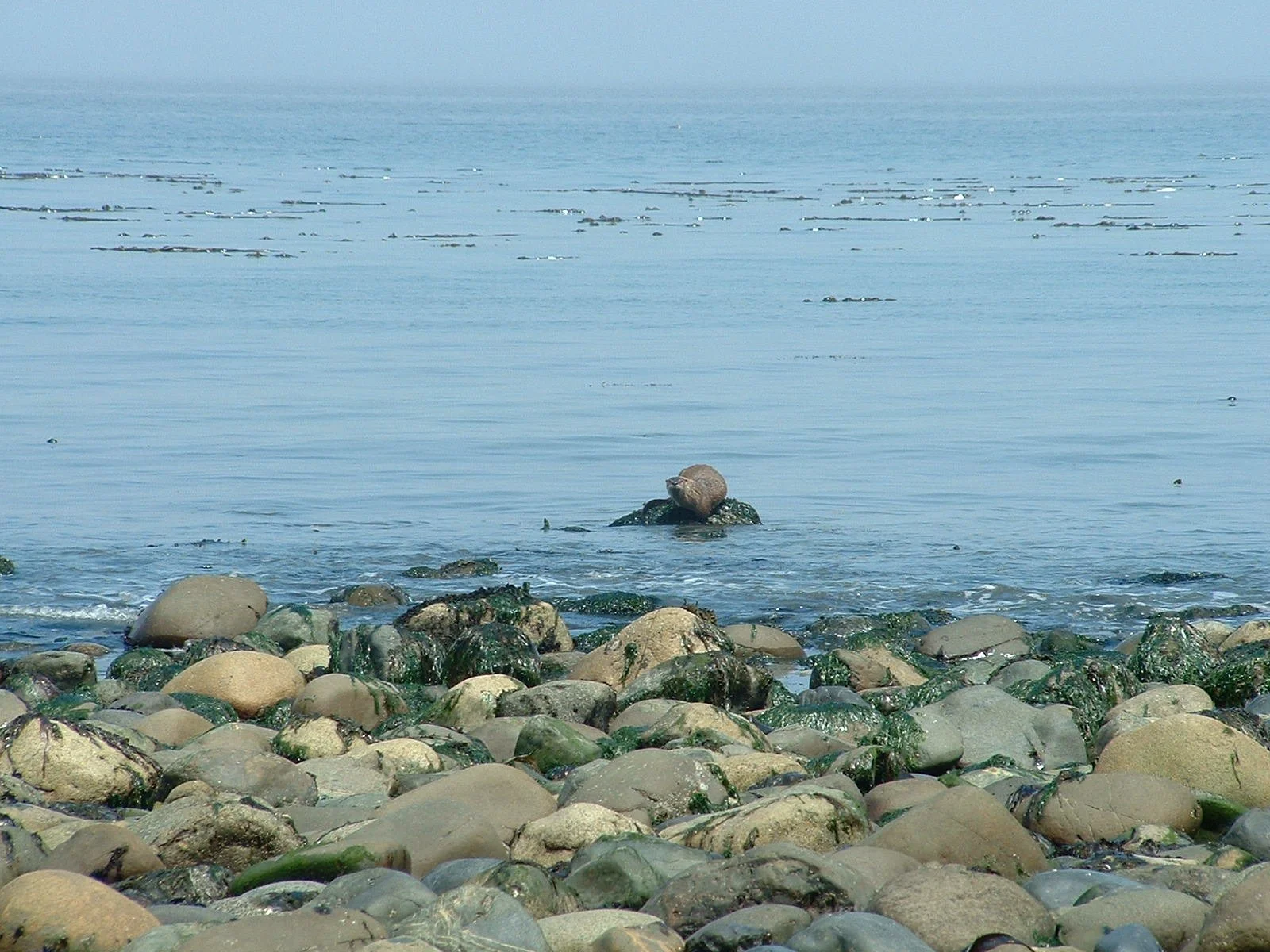 2003-8-1 WASHINGTON VISIT FROM ROBINSONS ET AL (30).JPG