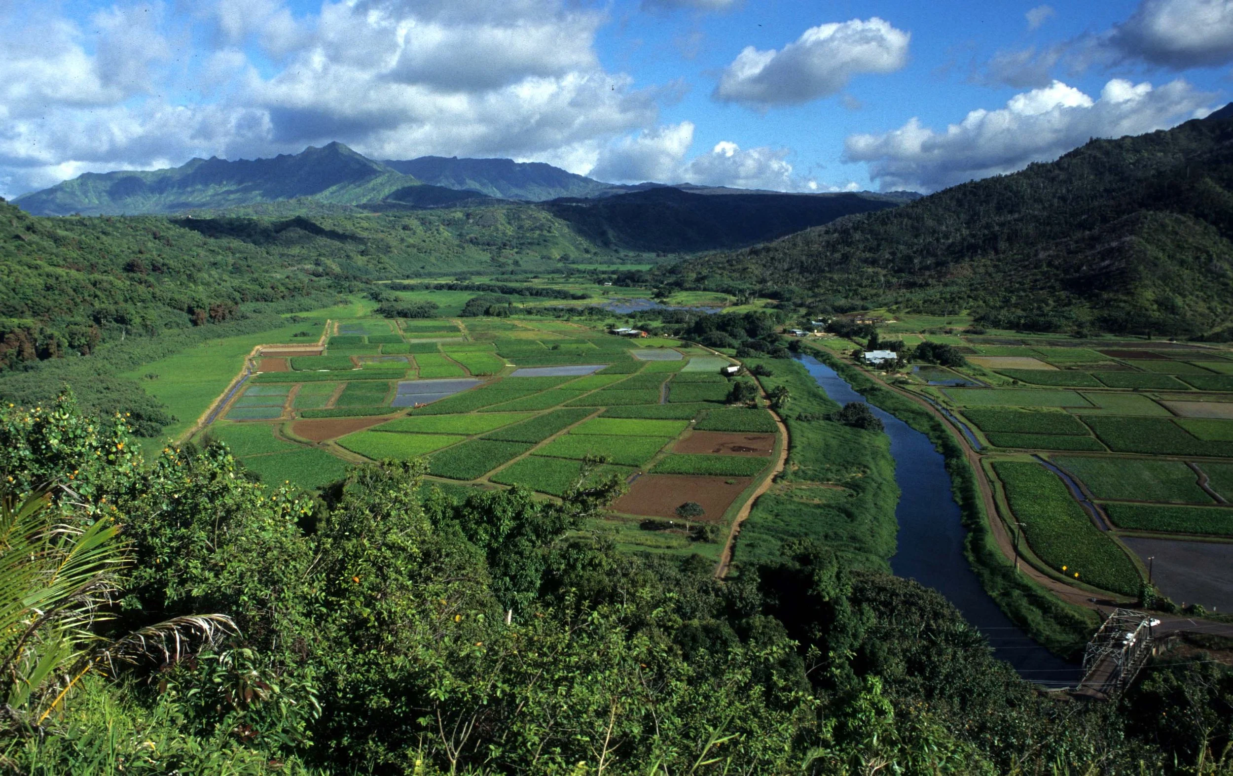 HAWAII - KAUAI COUNTRYSIDE.jpg