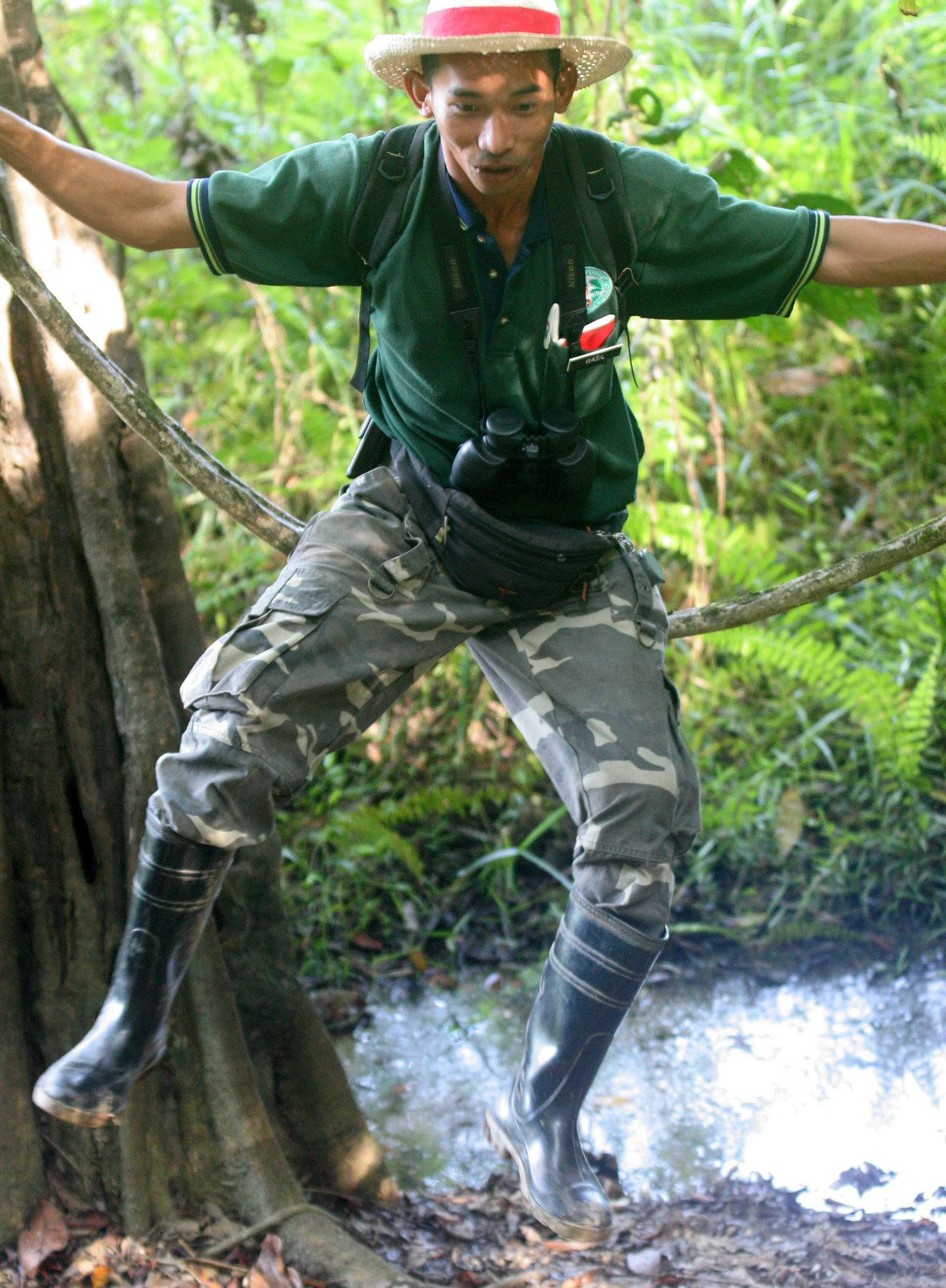 KINABATANGAN RIVER BORNEO - JUNGLE TREK (6).JPG