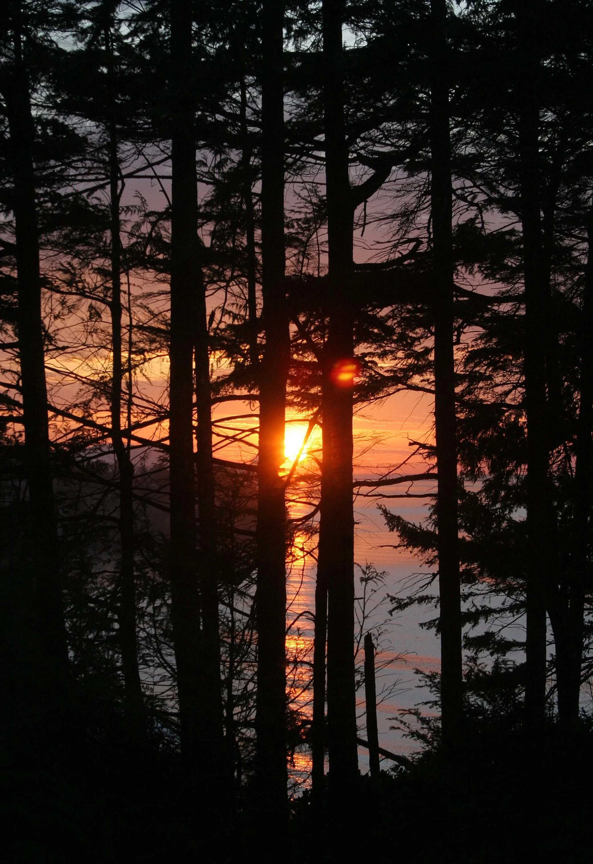 2008-4-11 GASMAN ROAD SUNSET (10).jpg