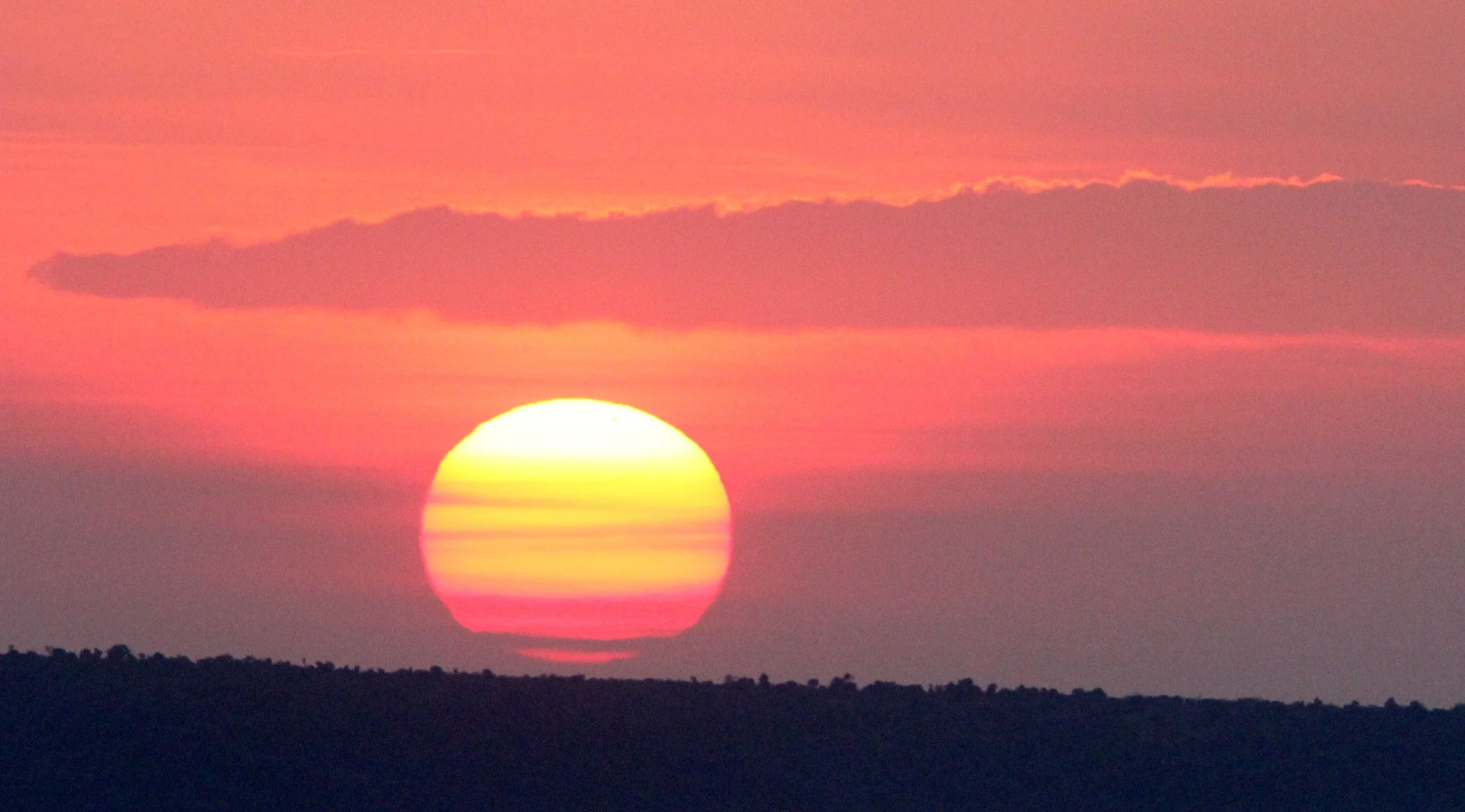 MASAI MARA NATIONAL PARK KENYA (7).JPG