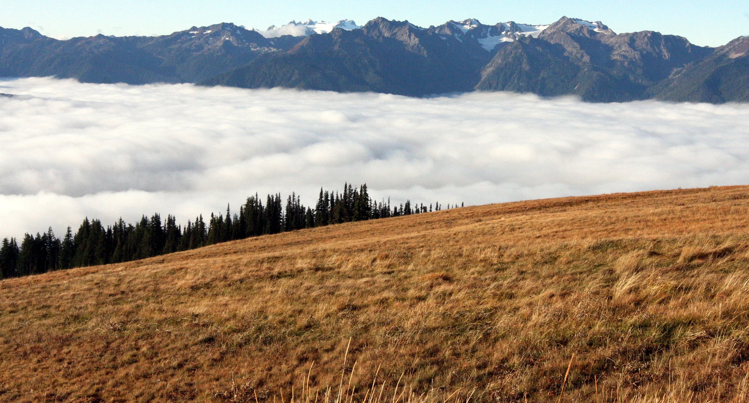 HURRICANE RIDGE - VIEWS OF CLOUDS RESEMBLING GLACIERS (10).JPG