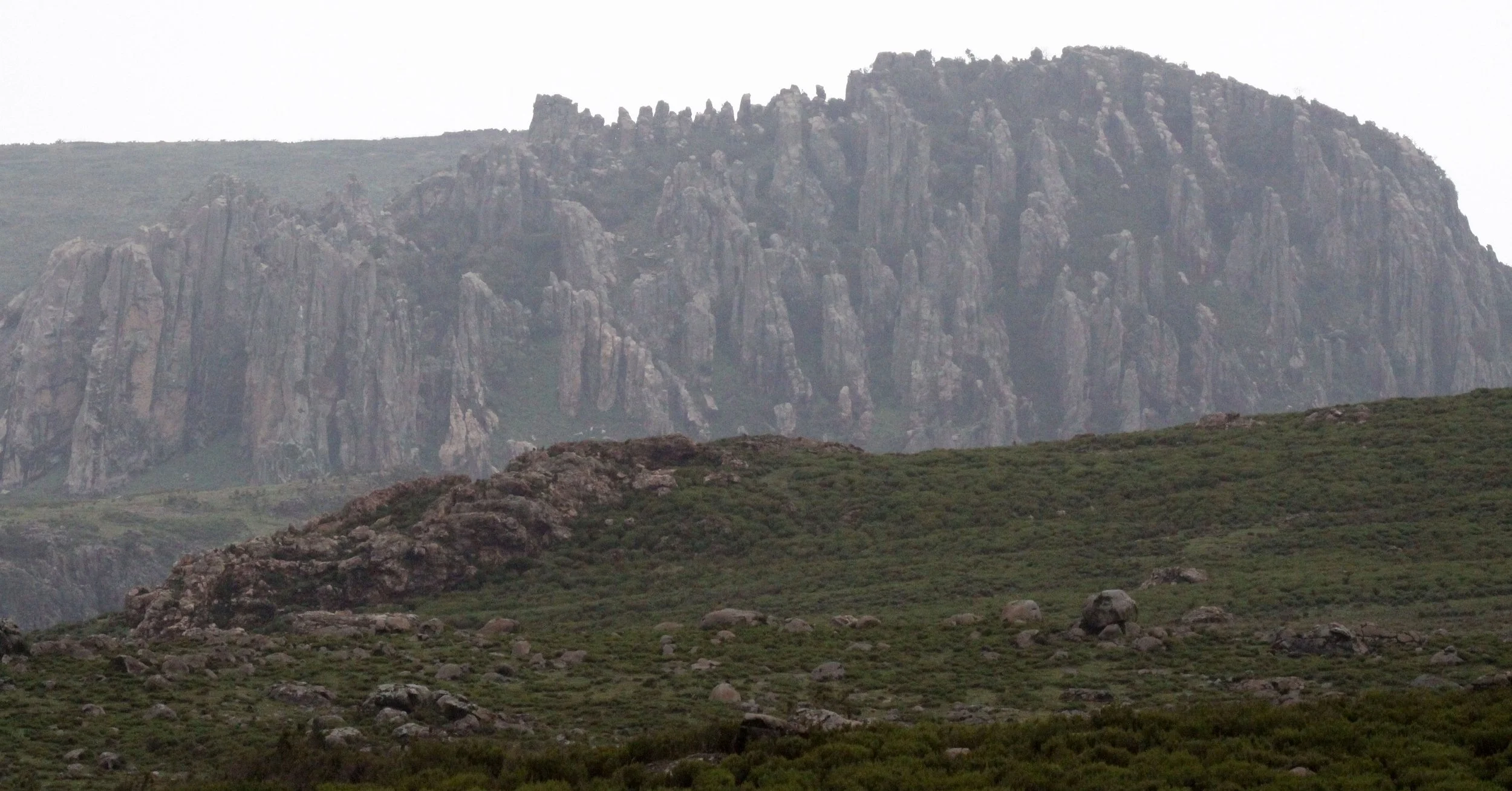 BALE MOUNTAINS NATIONAL PARK ETHIOPIA (60).JPG