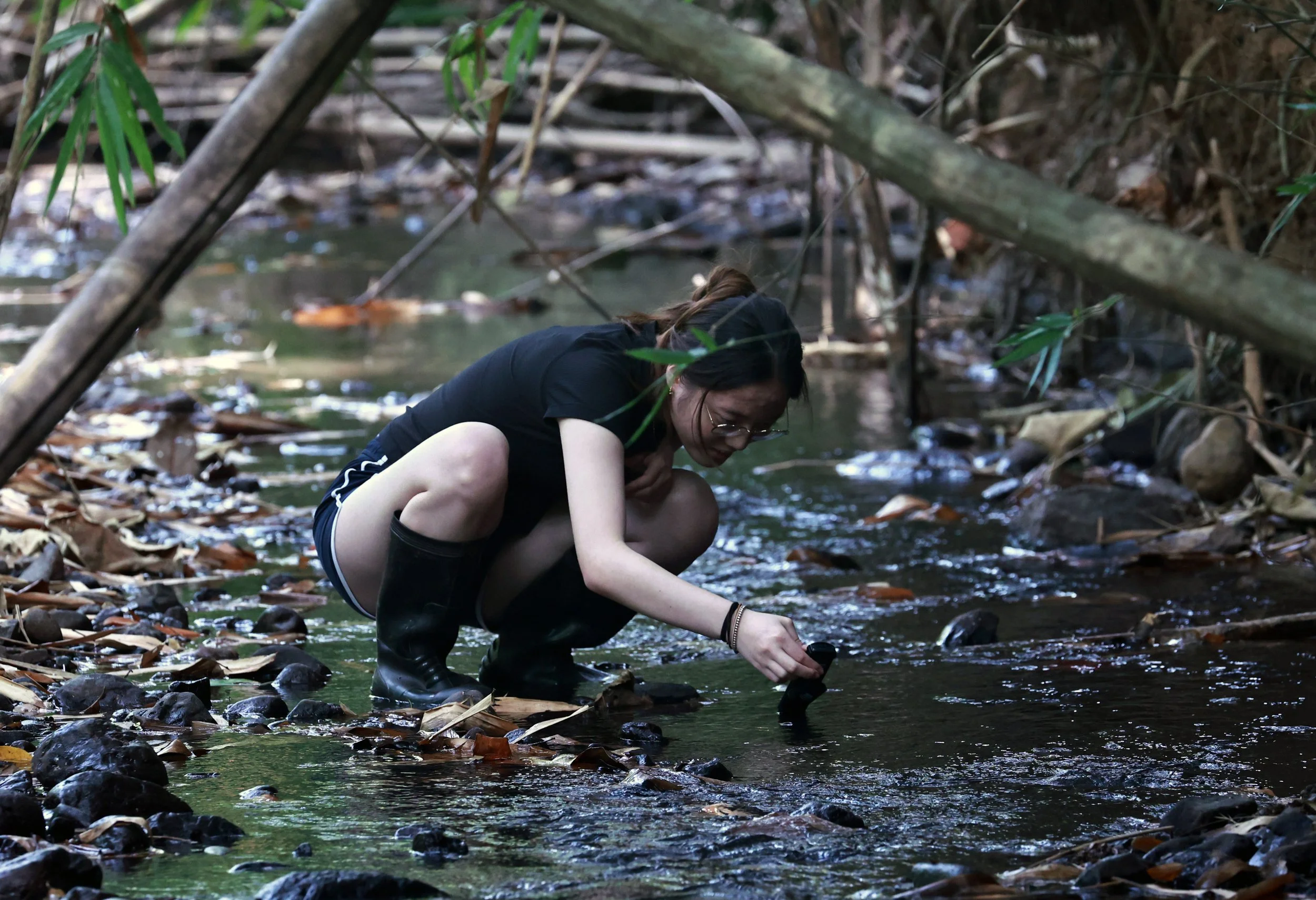 Kaeng Krachan National Park - ESS Trip Jan 2025 (13).jpg