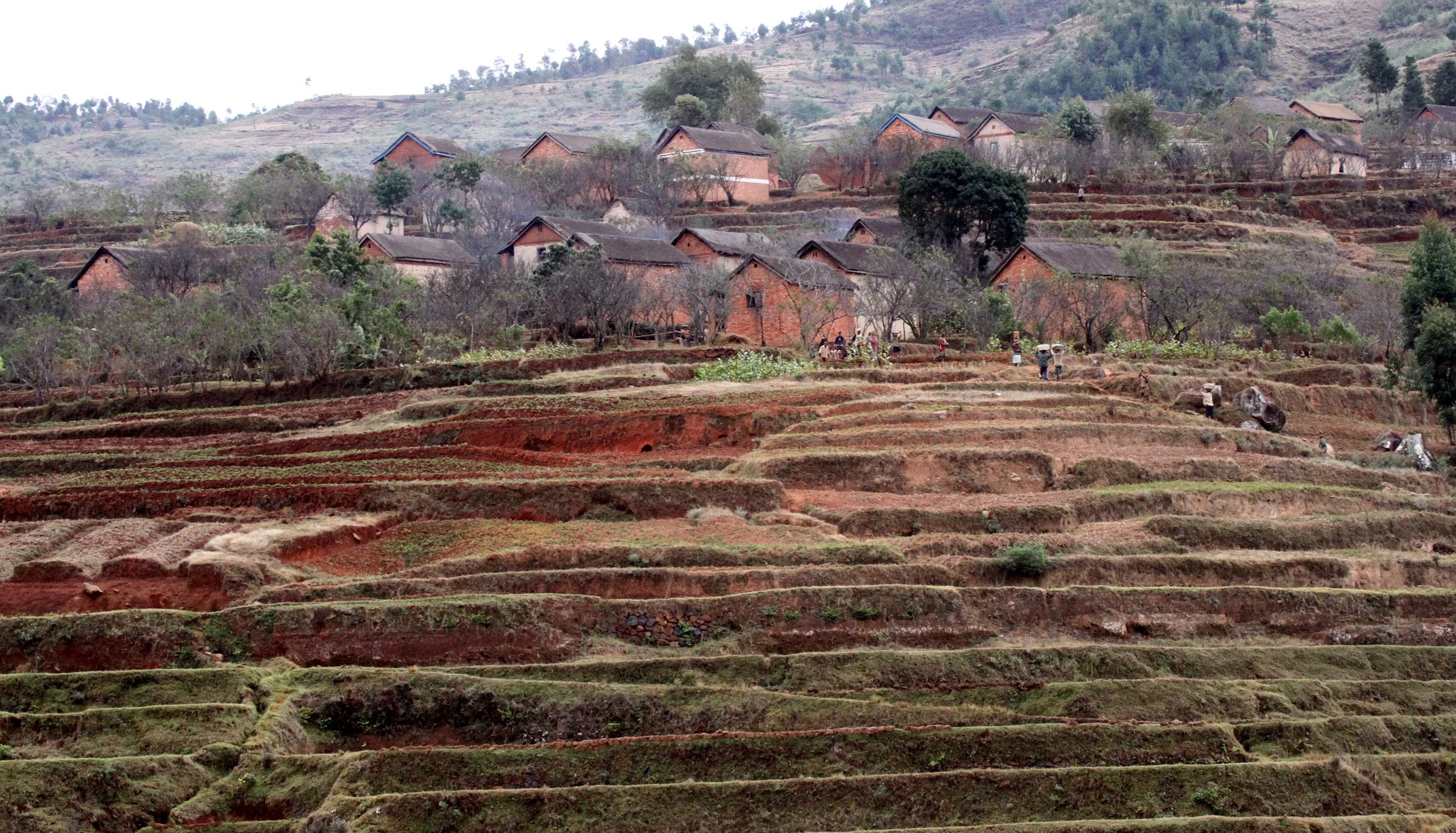 CENTRAL HIGHLANDS - ROAD TO RANOMAFANA (27).JPG