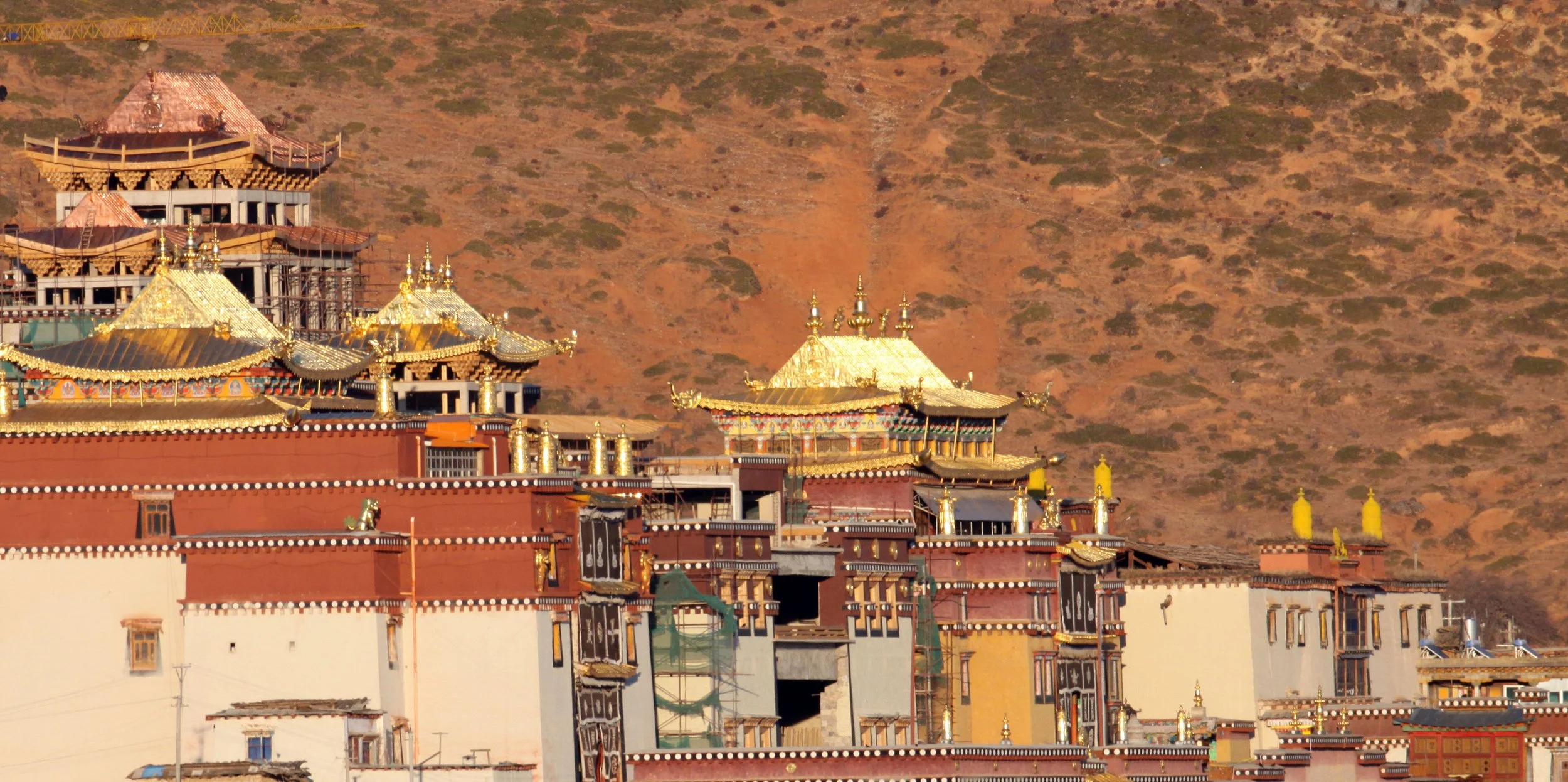 YUNNAN - SHANGRILA - SONGZHANLIN TEMPLE - CHINA (1).JPG