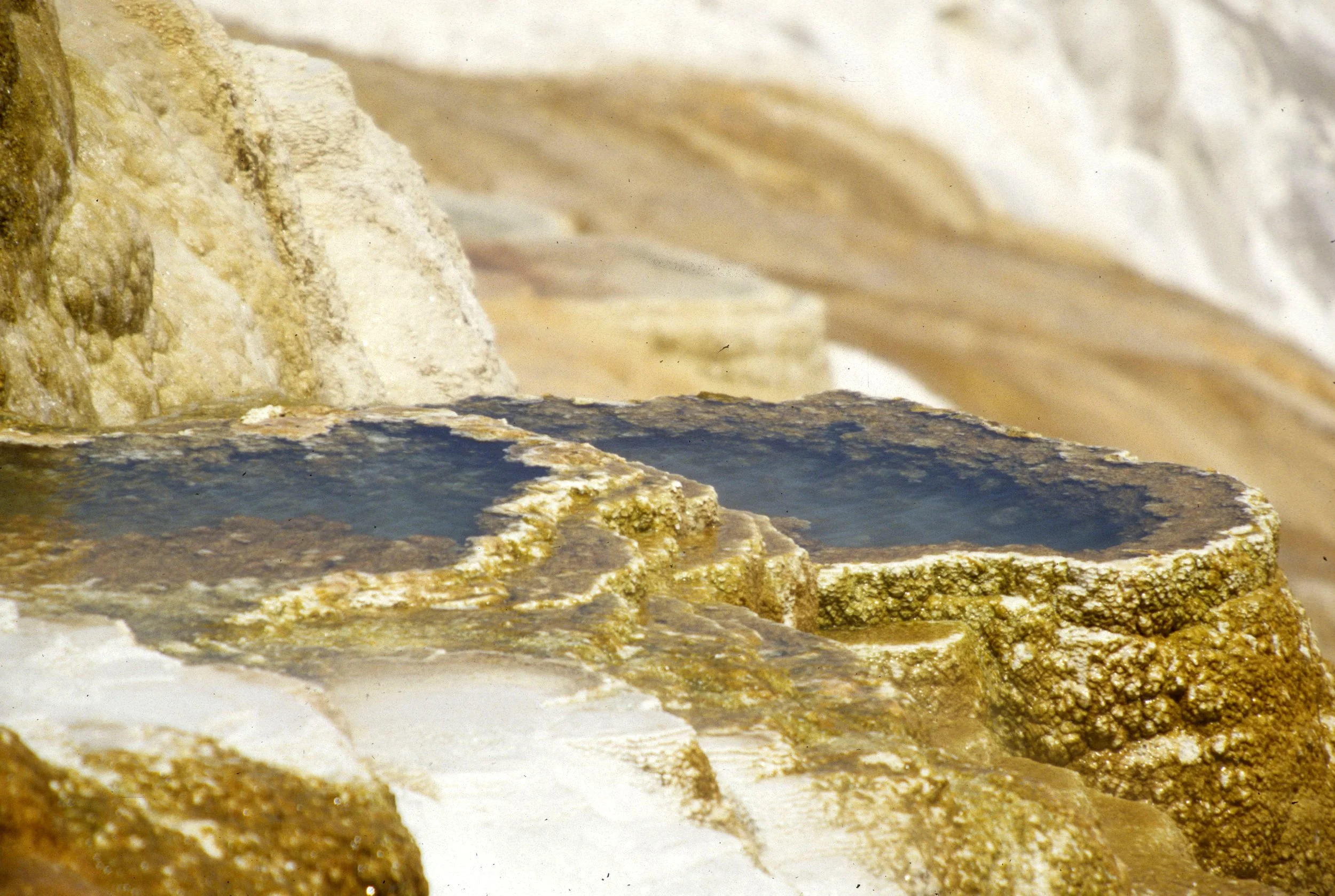 YELLOWSTONE - MAMMOTH HOTSPRINGS BB.jpg