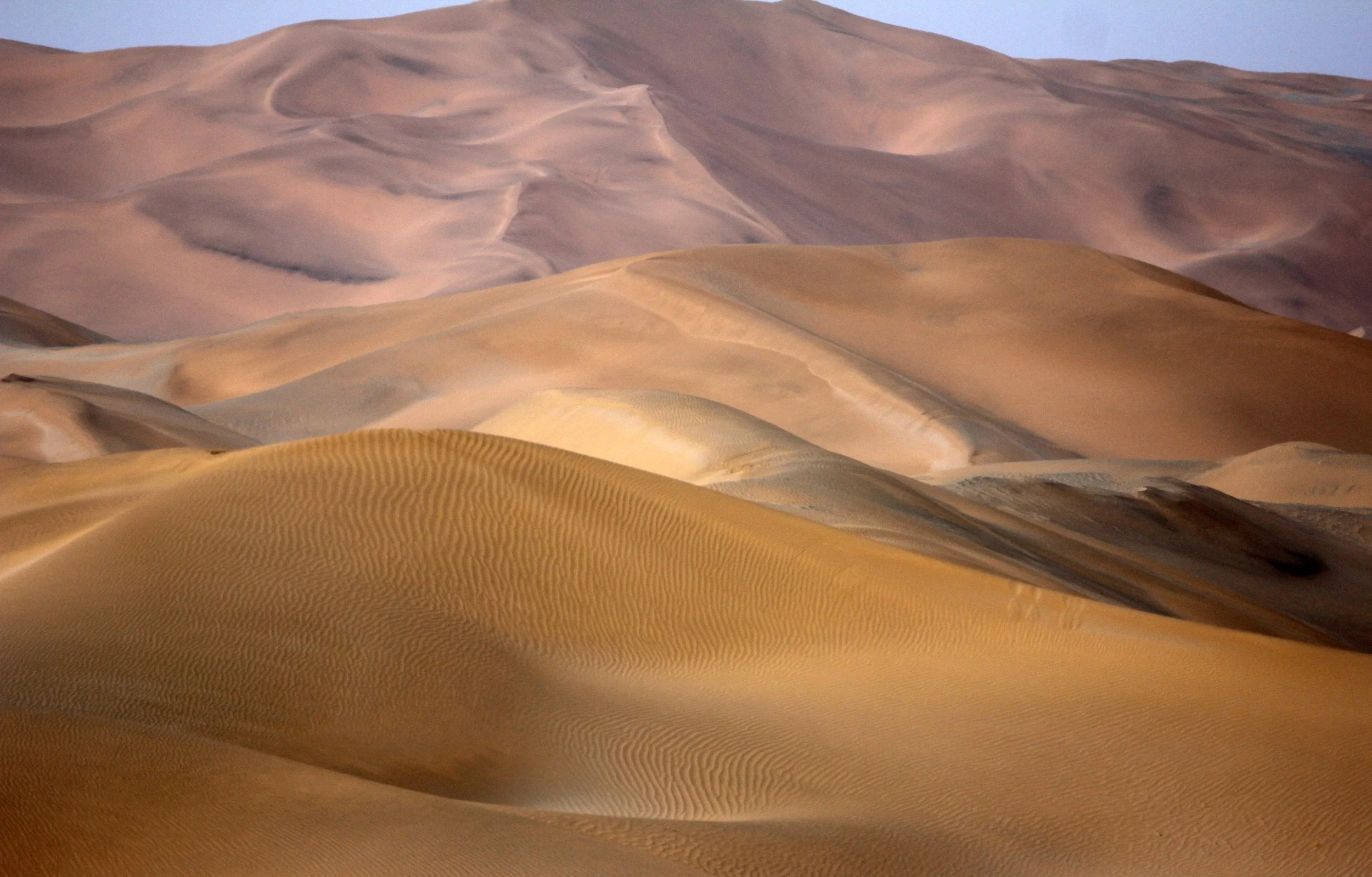 LOP NUR WILD BACTRIAN CAMEL RESERVE - XINJIANG CHINA (131).JPG