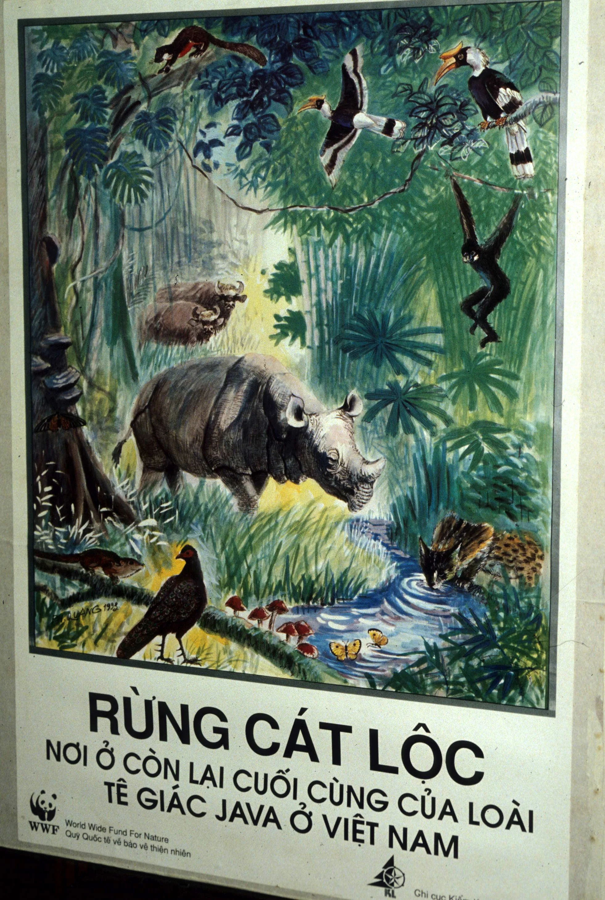 CUC PHUONG - ANIMAL CONSERVATION.jpg