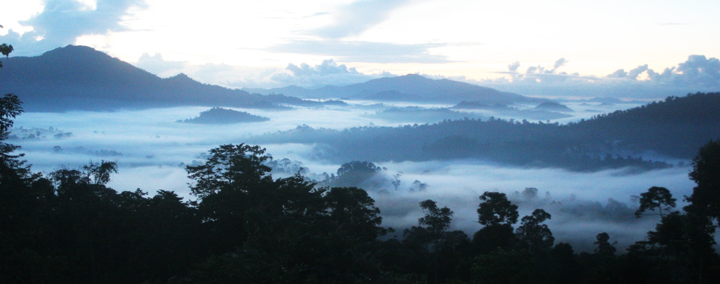 DANUM VALLEY BORNEO - SUNRISE OVER THE DANUM (5).JPG