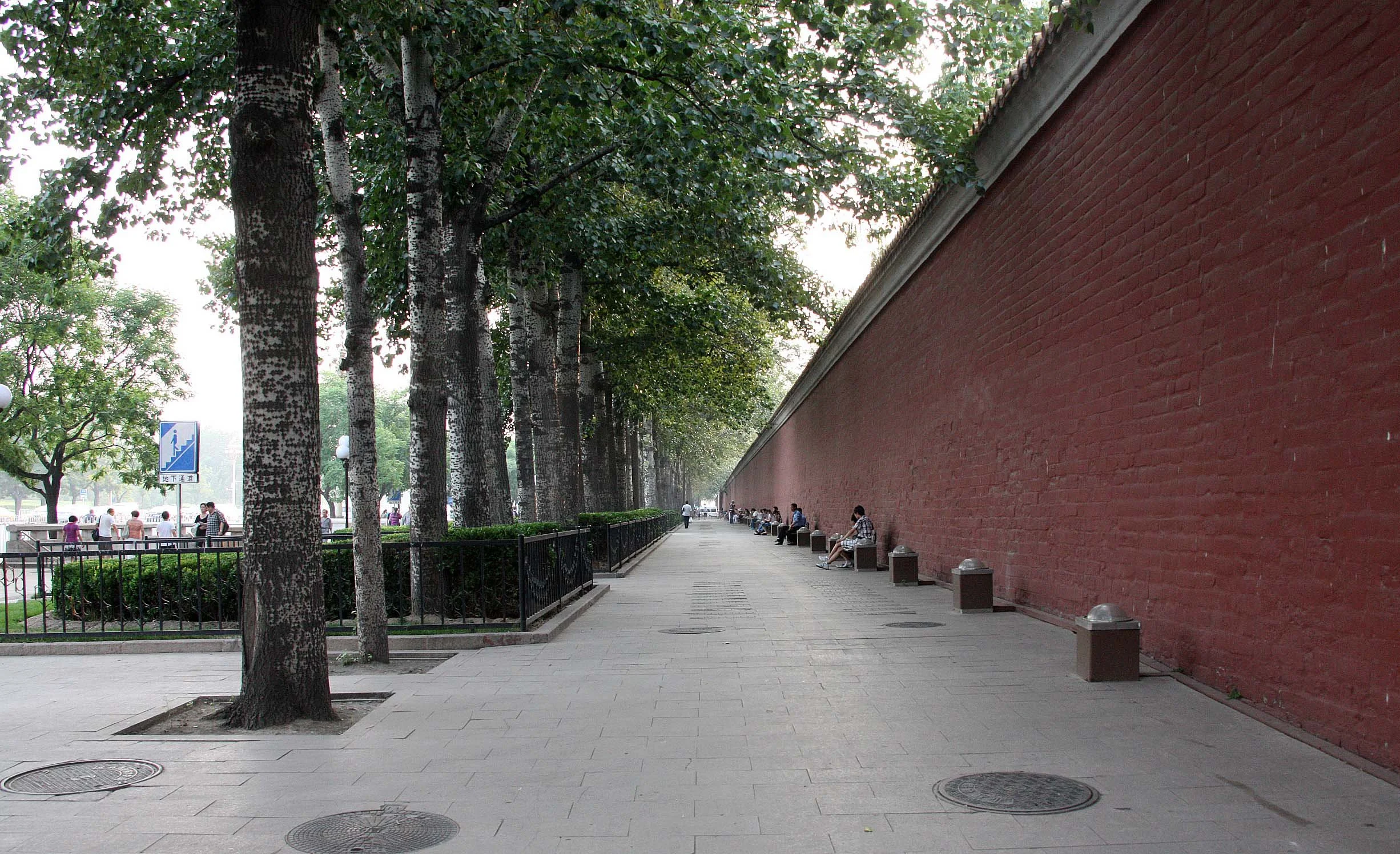 545O7995.JPG