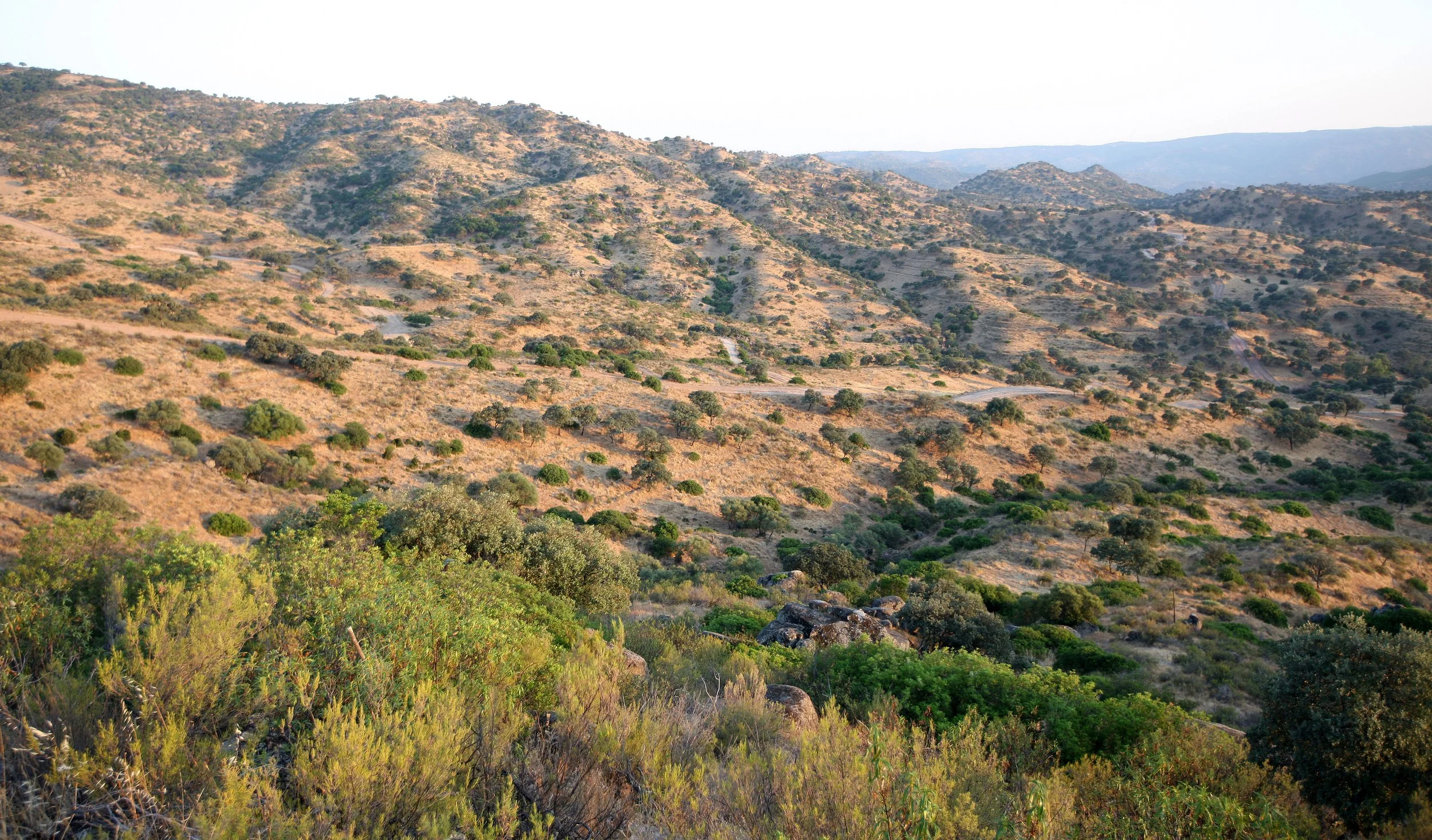 SIERRA DE ANDUJAR SPAIN (23).JPG