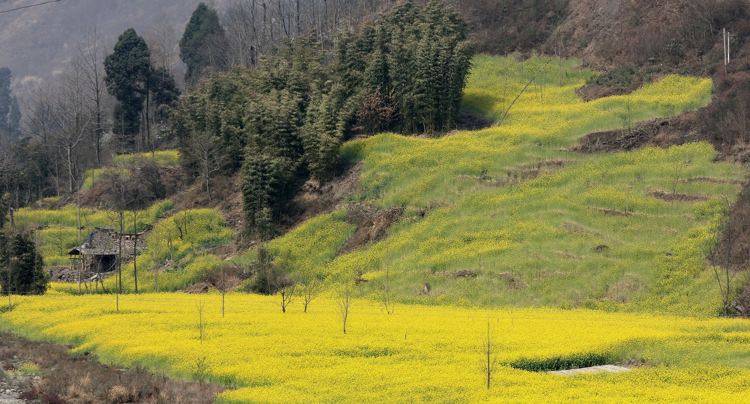DONGHEKOU EARTHQUAKE VILLAGE AND MEMORIAL - SICHUAN CHINA (8).JPG