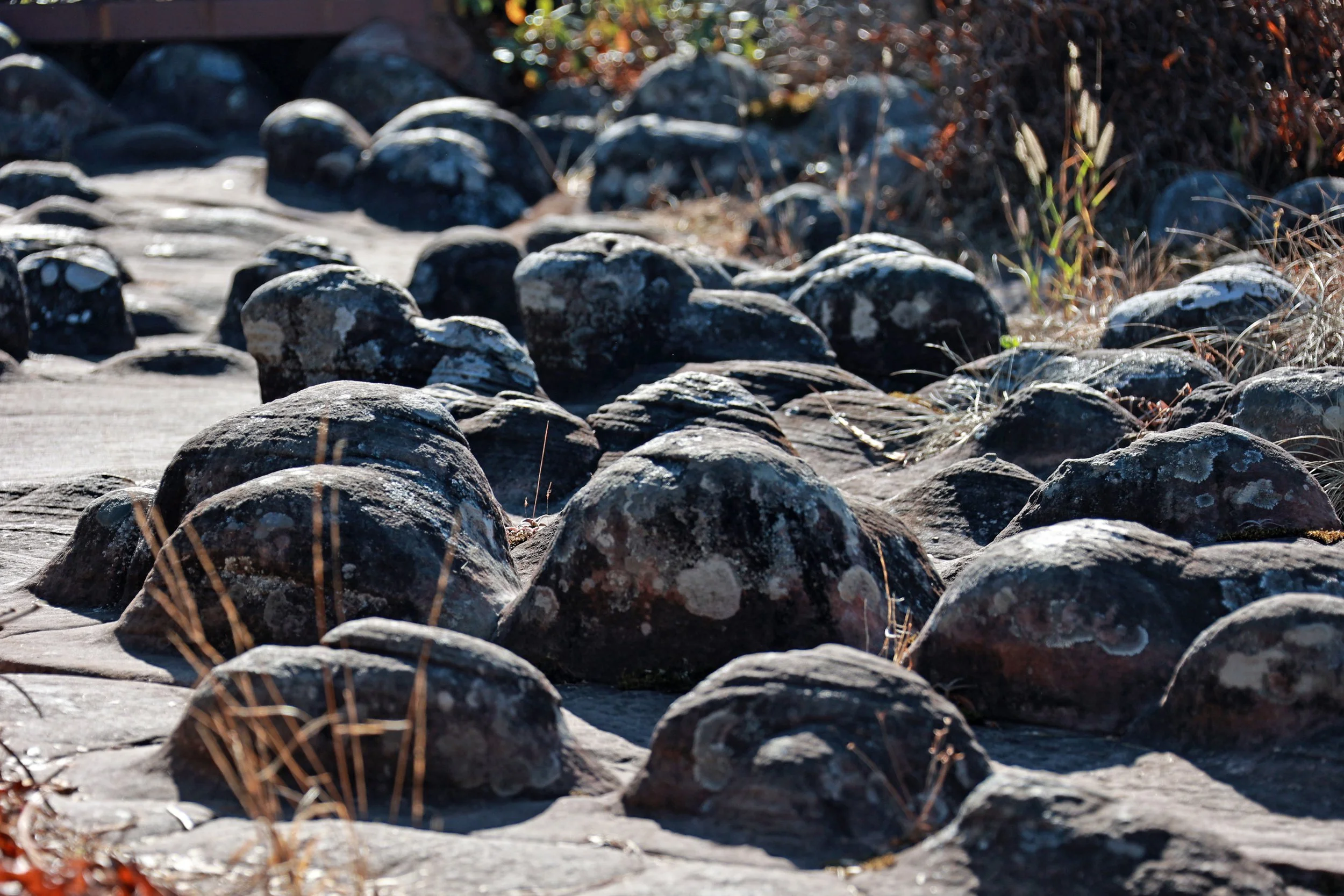 Phu Hin Rong Kla National Park Loei Province (49).jpg