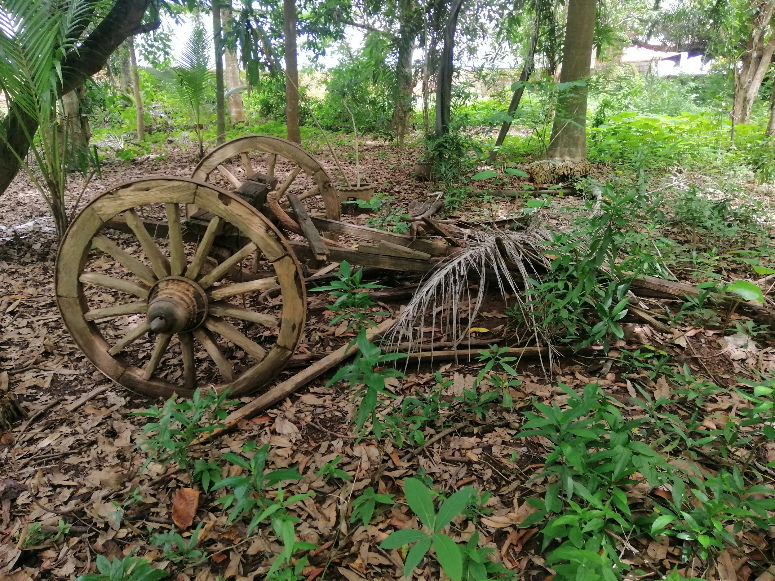 2020 Nan Wat Phaya Wat Summer Road Trip (3).jpg