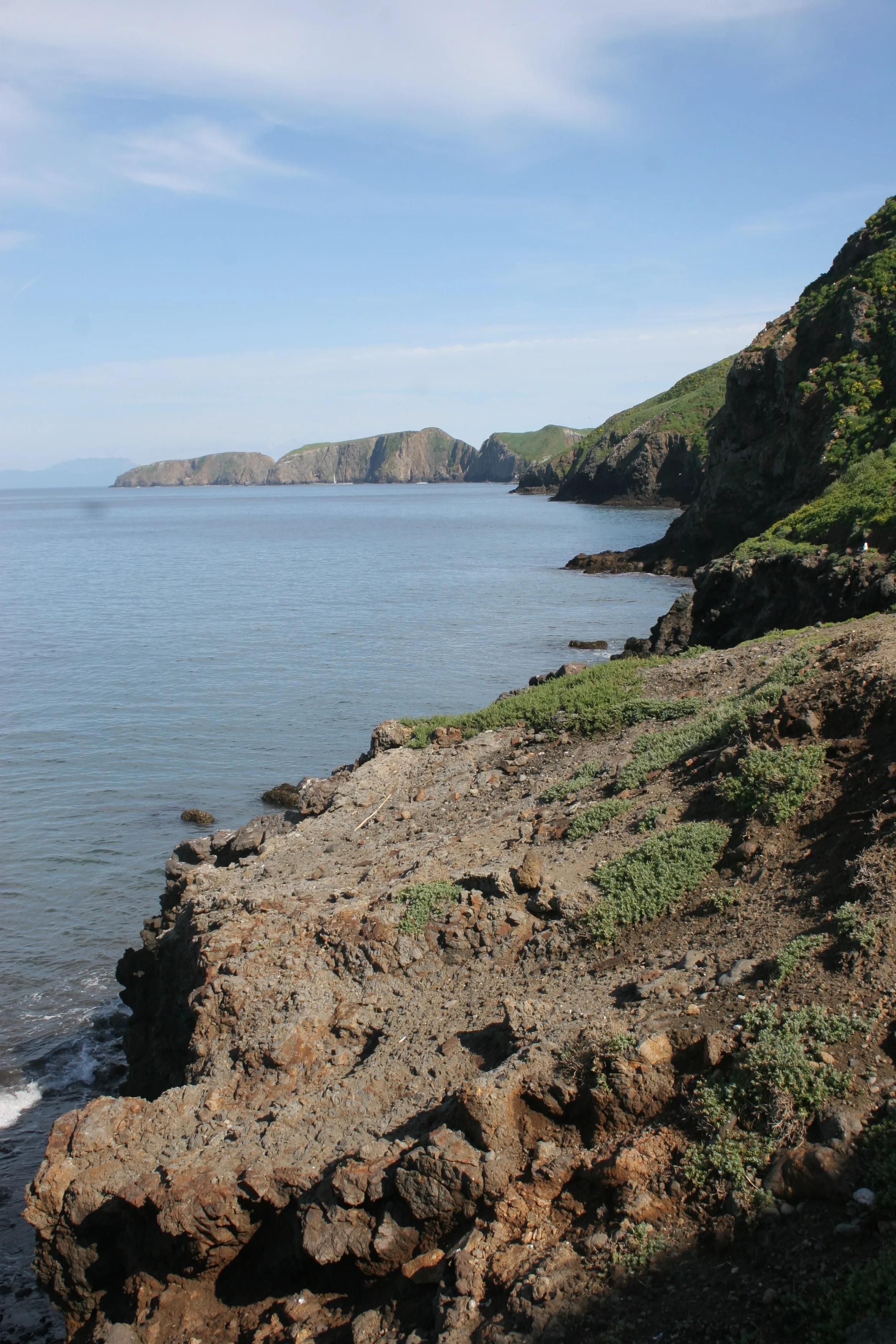 CALIFORNIA - CHANNEL ISLANDS NP - ANACAPA ISLAND (3).jpg