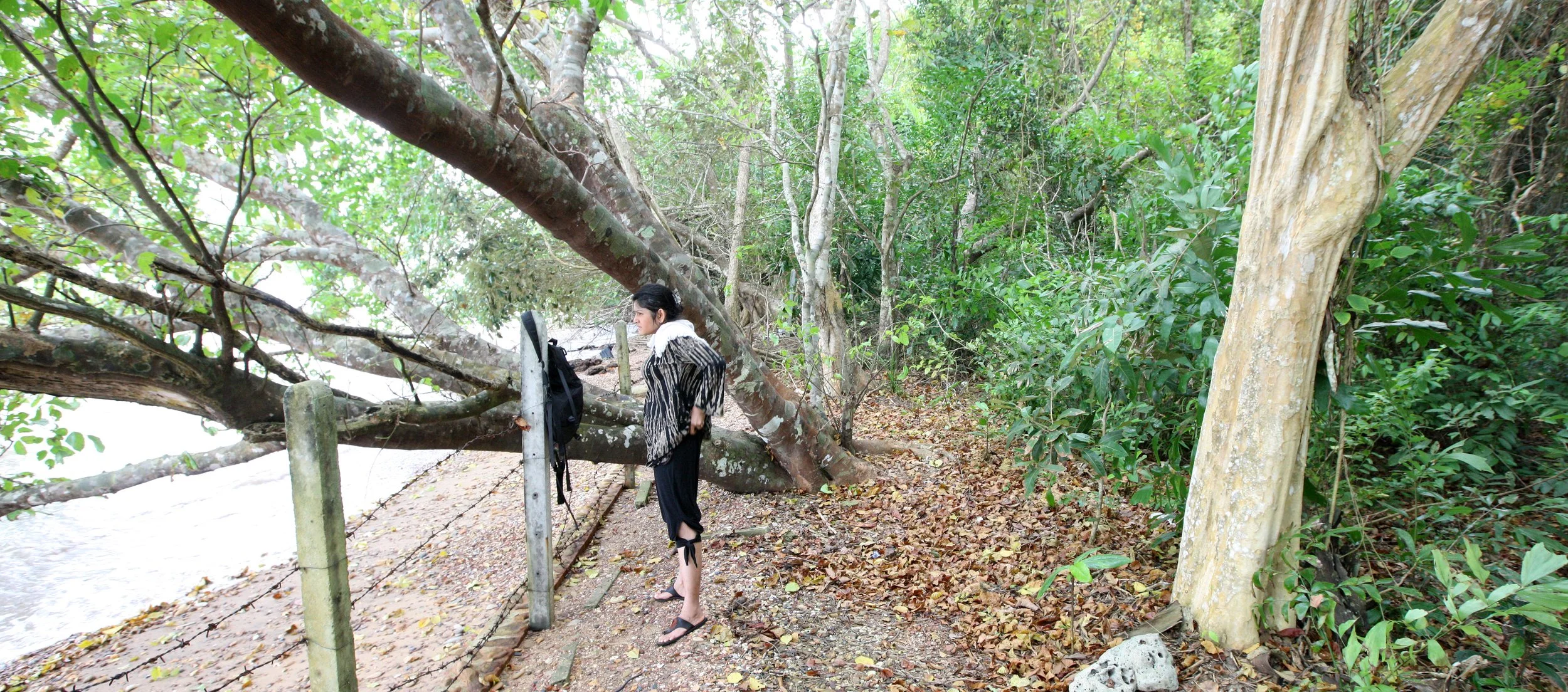 LANTA ISLAND - OUR PROPERTY - WINTER 2011 (40).JPG