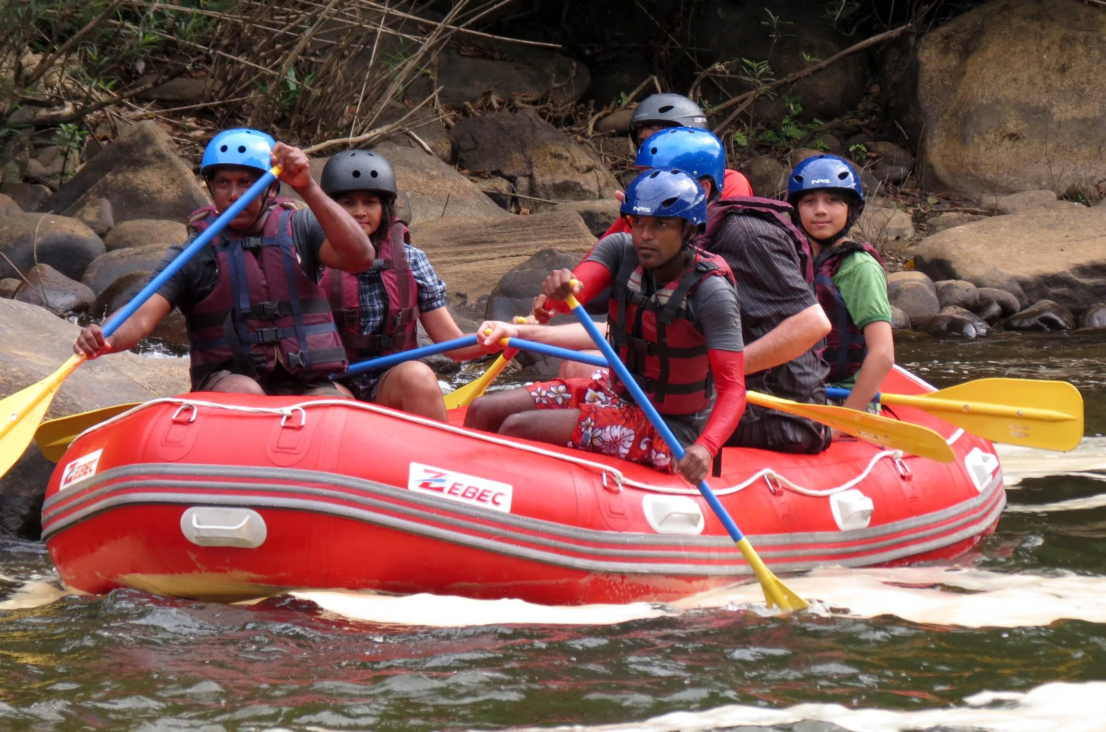 KITULGALA FOREST PRESERVE SRI LANKA (52).JPG