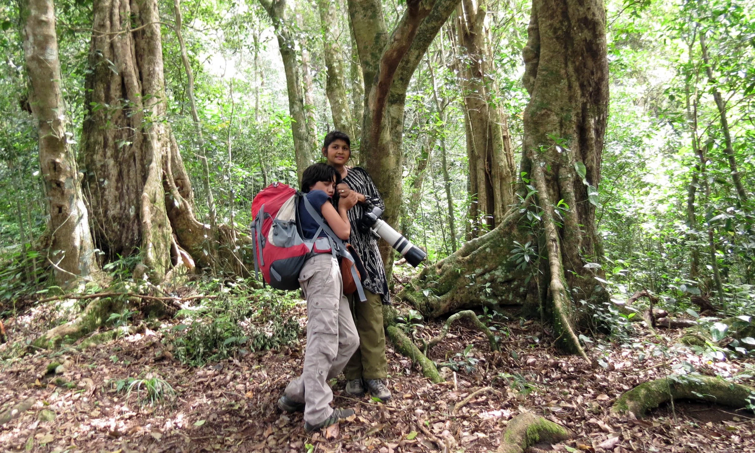 PAMPADUM SHOLA NATIONAL PARK INDIA - VATTAVADA (51).JPG