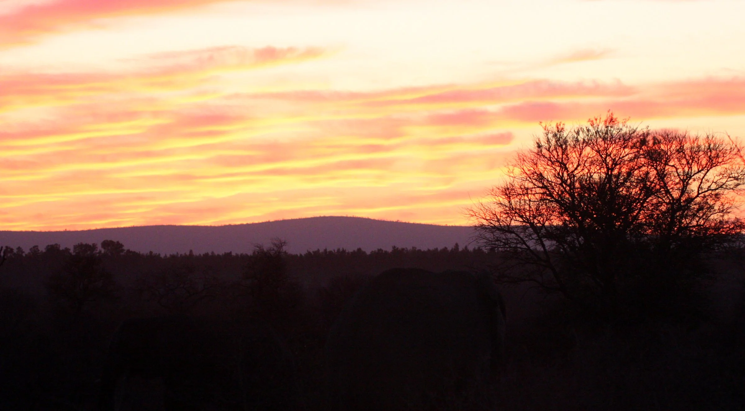 KRUGER NATIONAL PARK SOUTH AFRICA - SUNSET.JPG