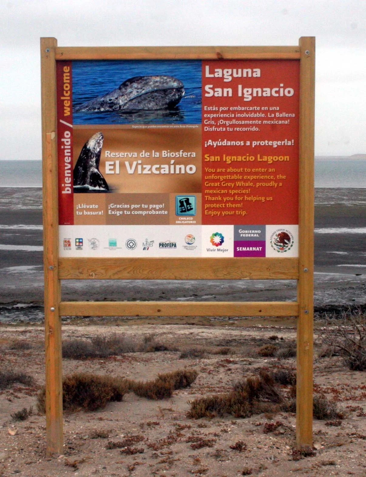 SAN IGNACIO LAGOON BAJA MEXICO - NATIONAL PARK.JPG