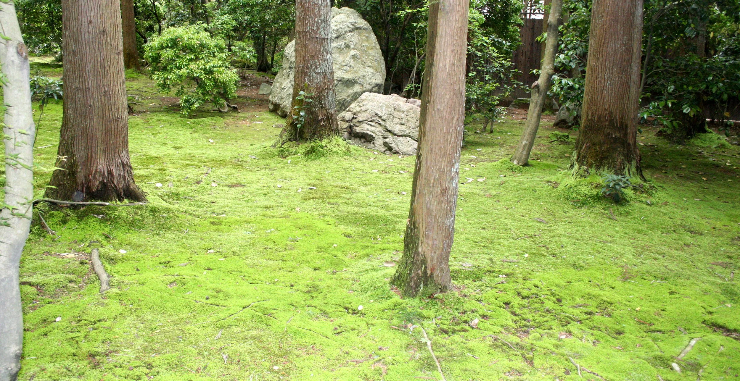 KYOTO - MAY 2009 - RYOANJI MOSS GARDENS (16).JPG