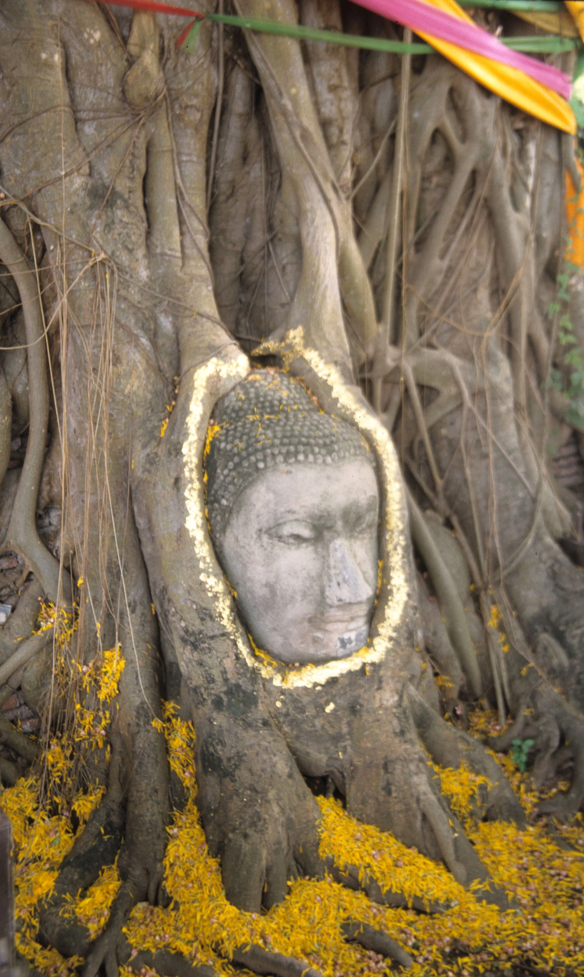 AYUDTHAYA - WAT PHRA MAHATAT I.jpg