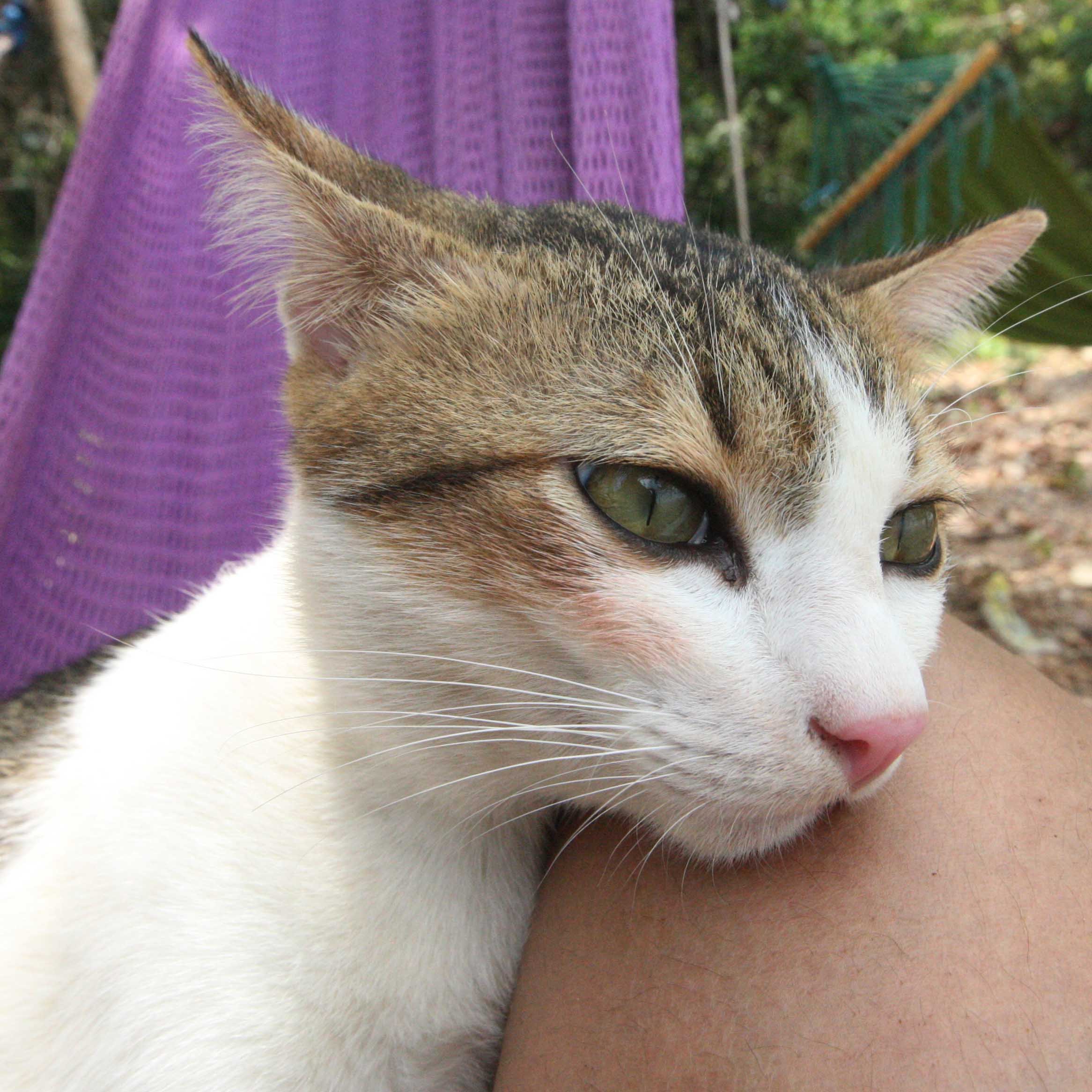 2015 Koh Lanta Songkran with friends from ISB (279).JPG
